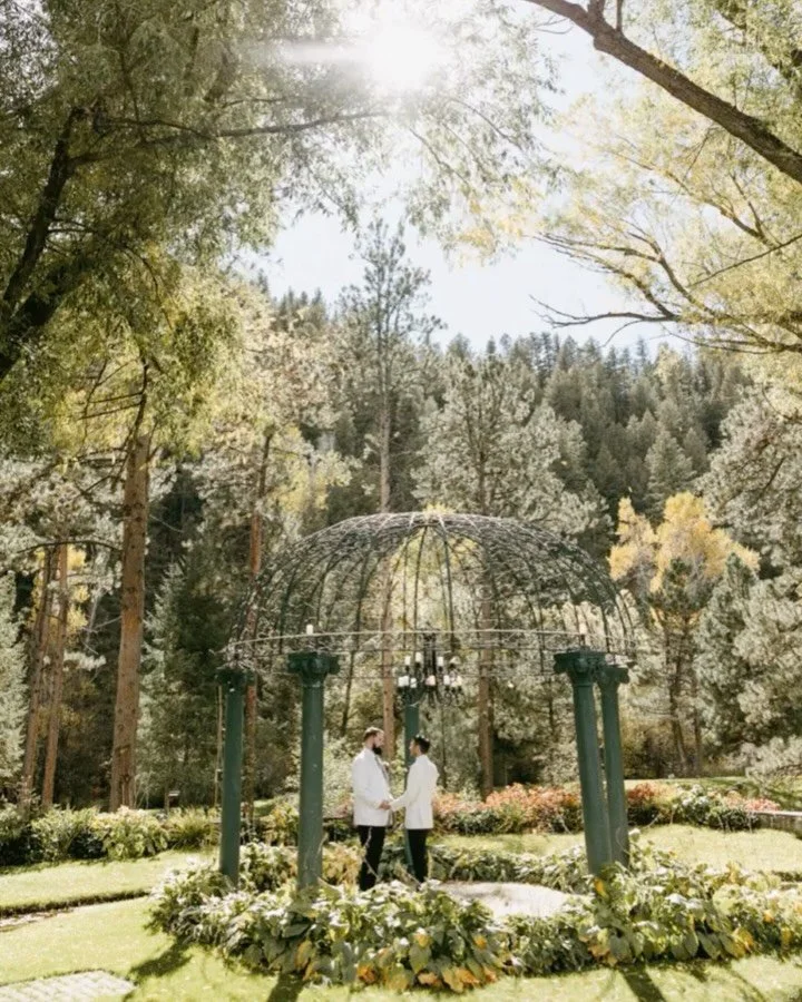 First look GIFs should be required! These are so cute! Adorable work by @mckenzie_bigliazzi