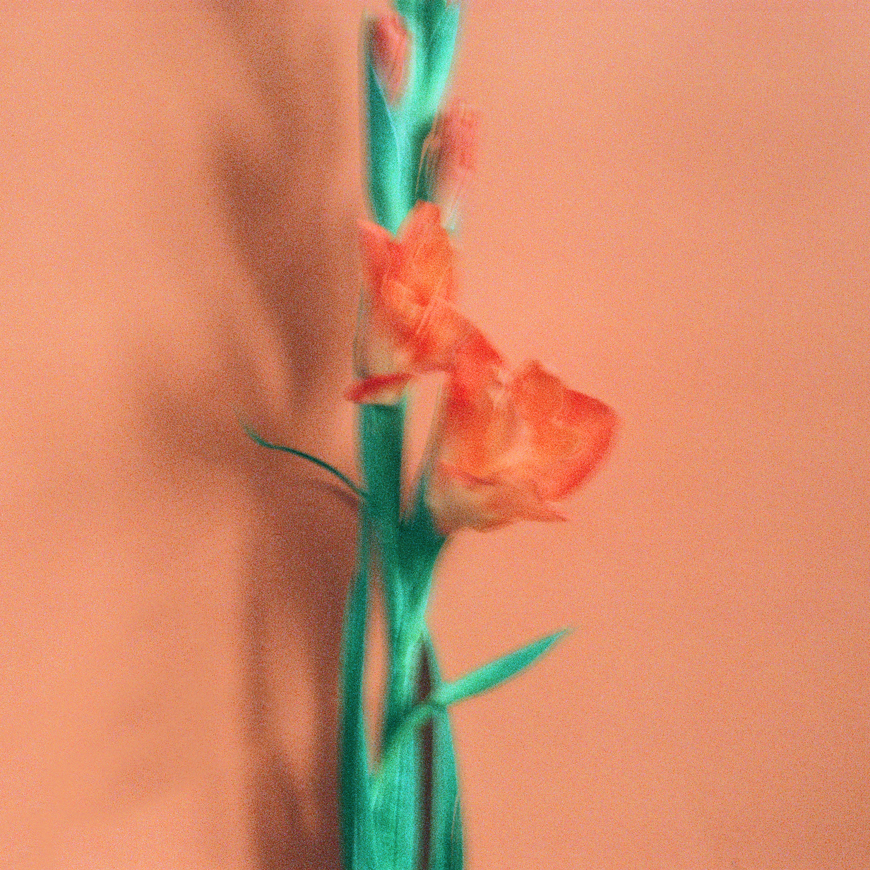 16 . 06 . 23A.png
