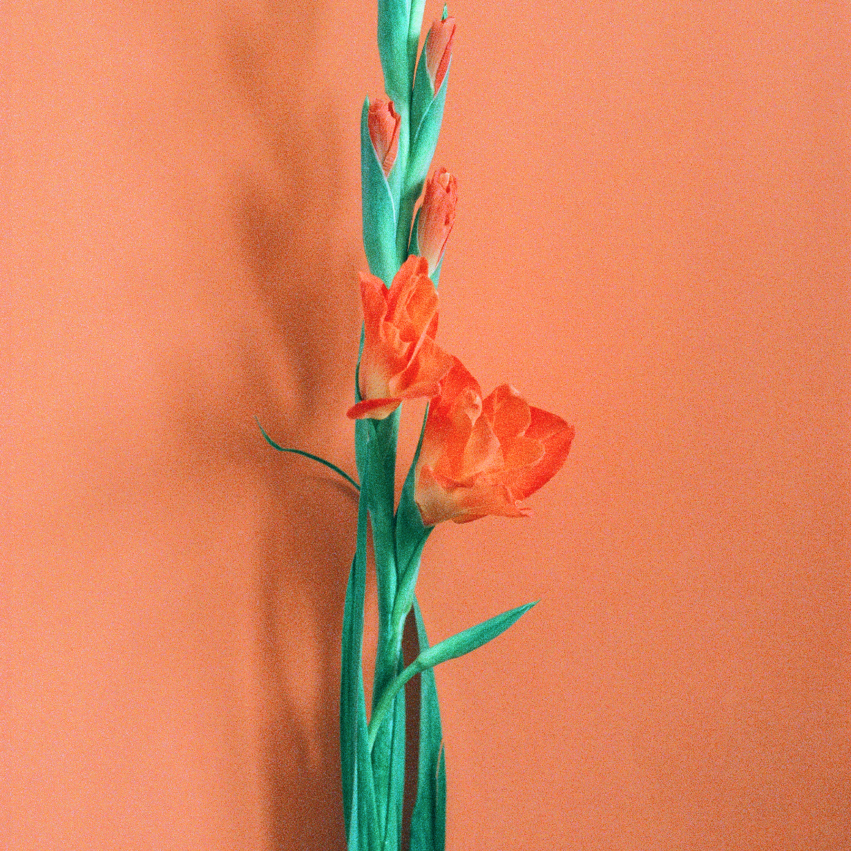 16 . 06 . 23B.png