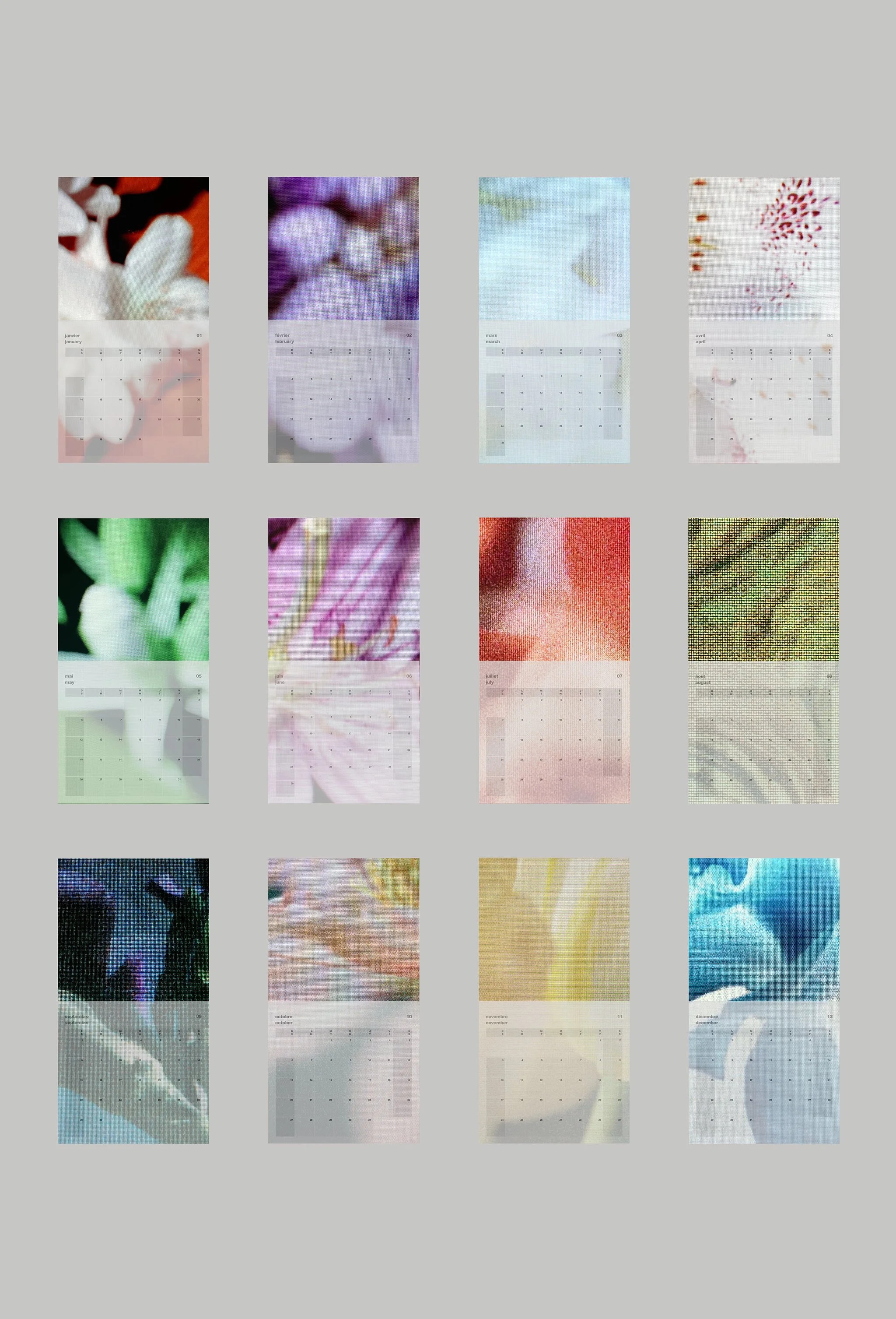 contact sheet copy 2-longer 1.jpg