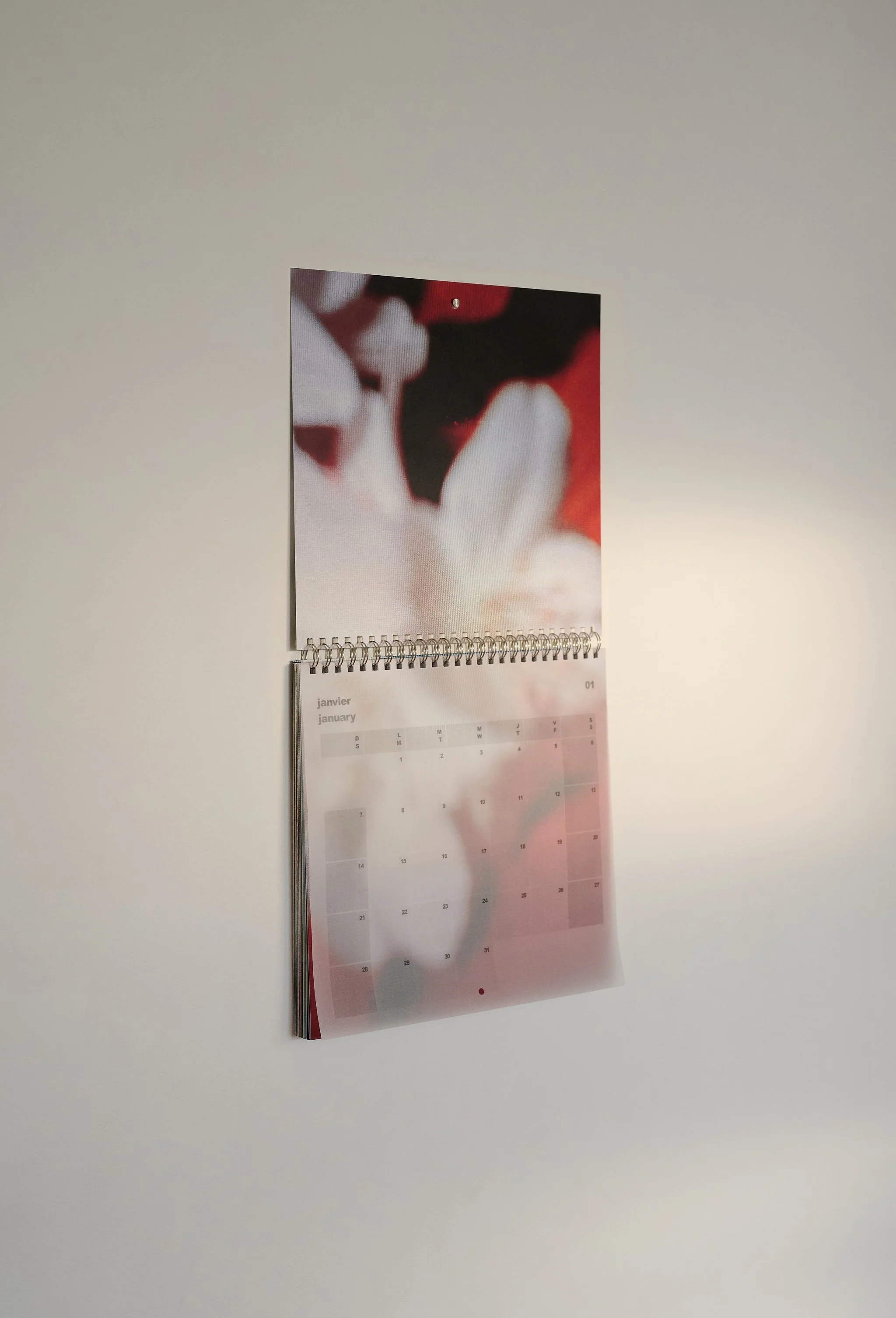 2024 Calendar3356 copy.jpg