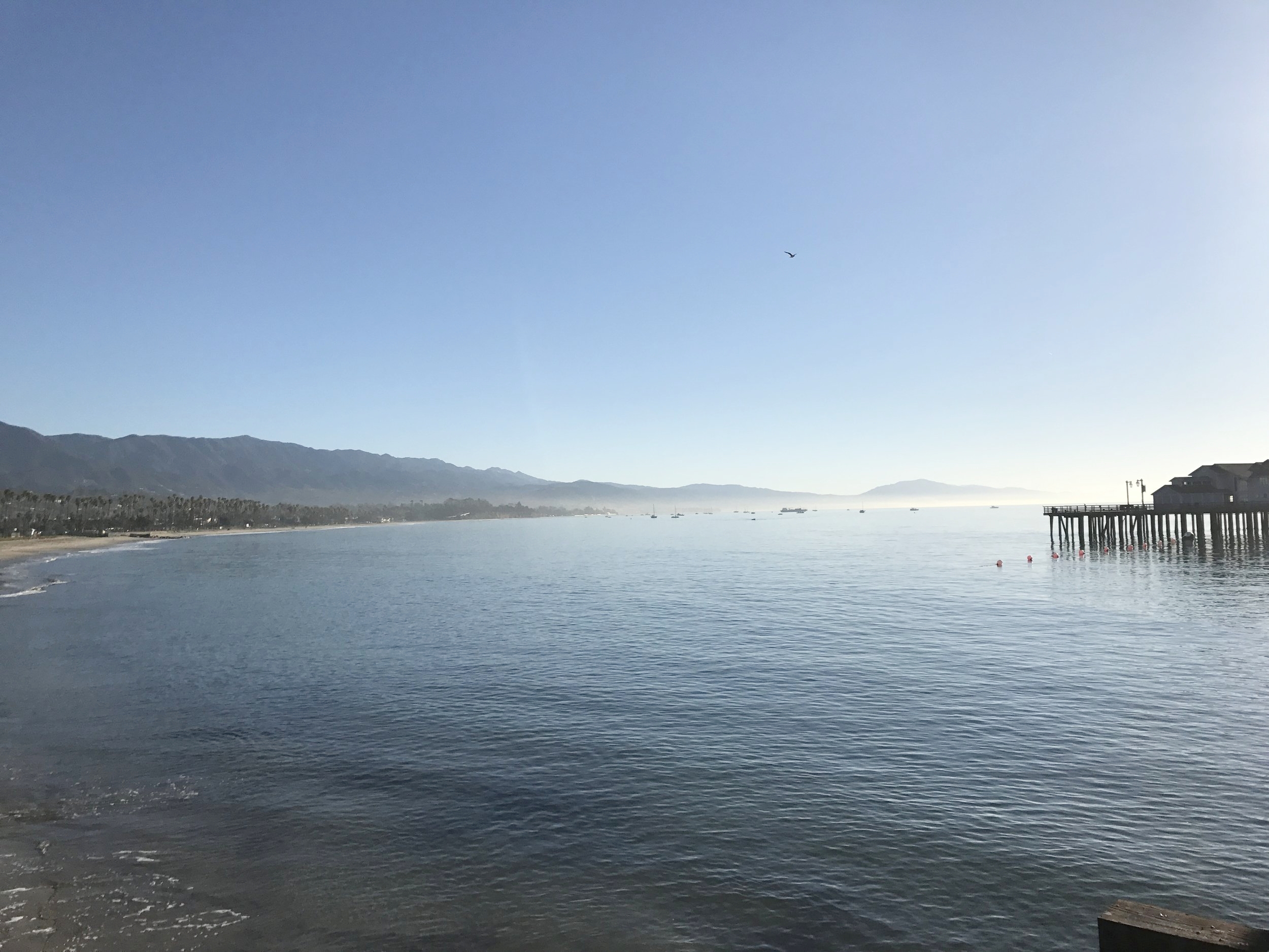 IMG_0166.jpeg