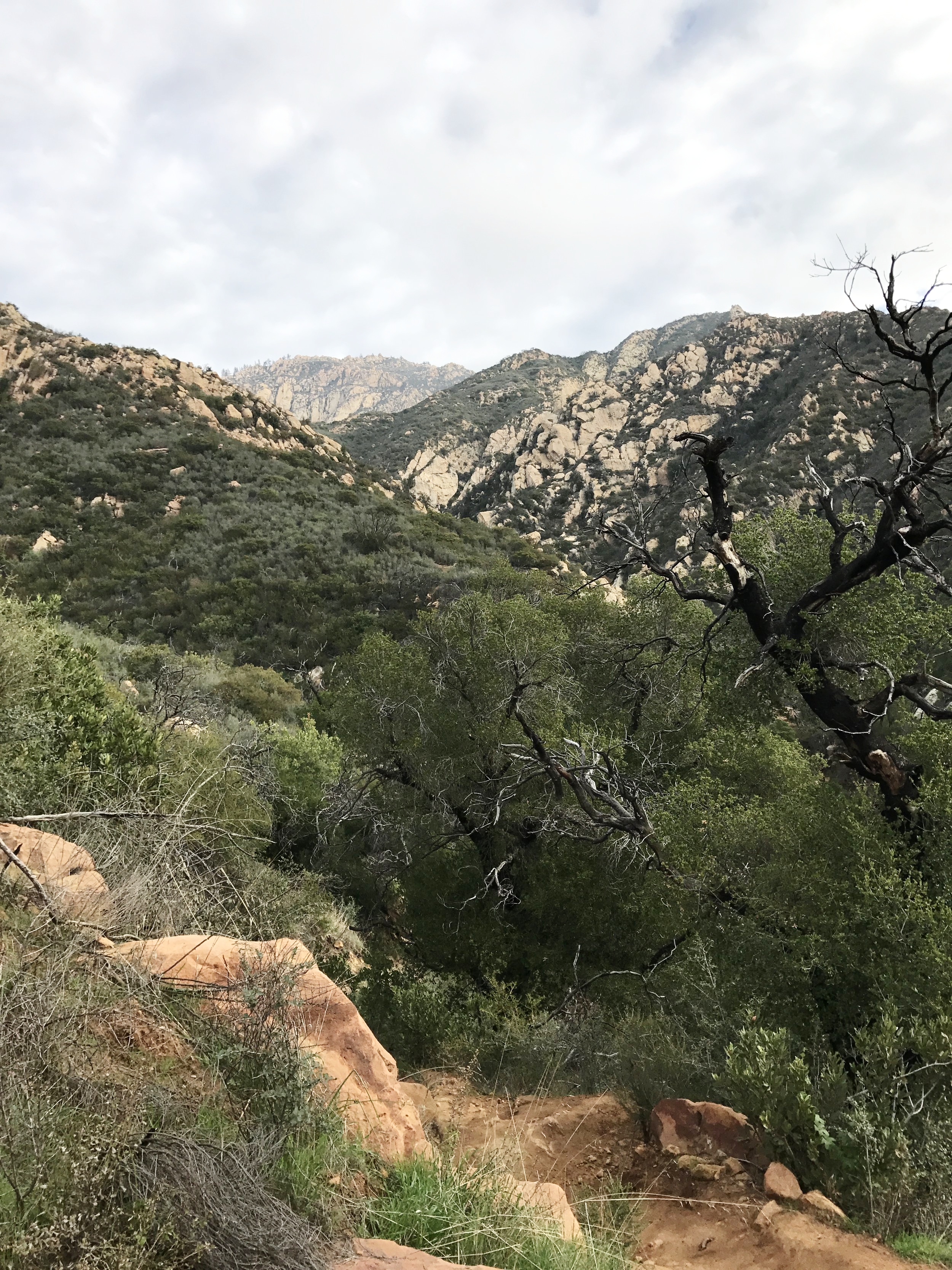 IMG_0232.jpeg