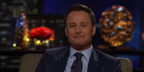 giphy (9).gif