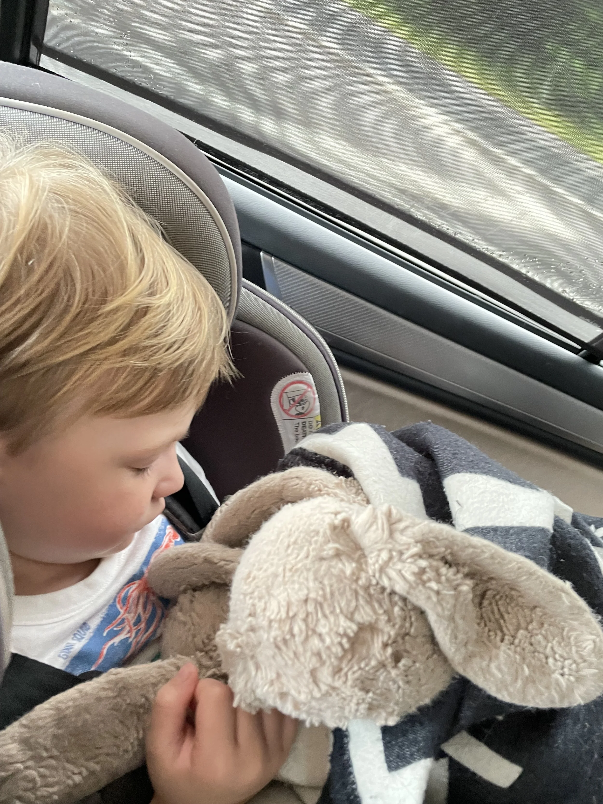 How To: Car Trips with Toddlers