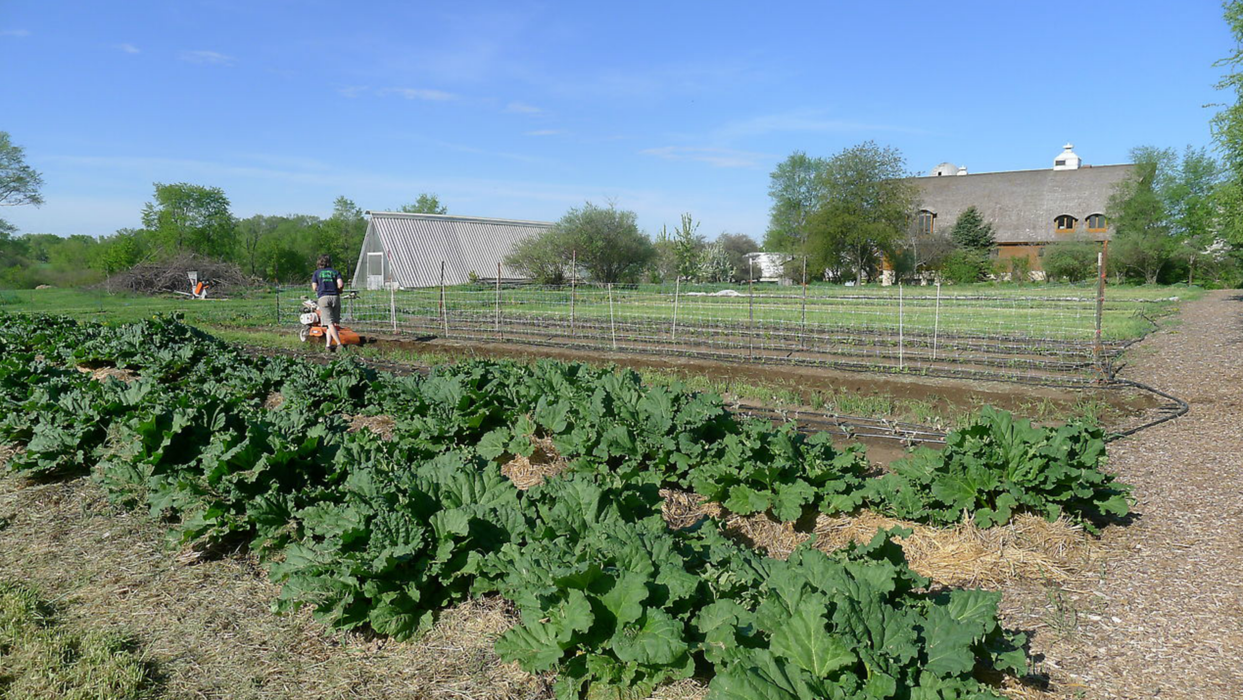 Working farm.png