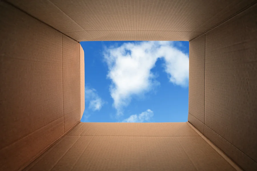 bigstock-Inside-a-cardboard-box-concept-58839056.jpg