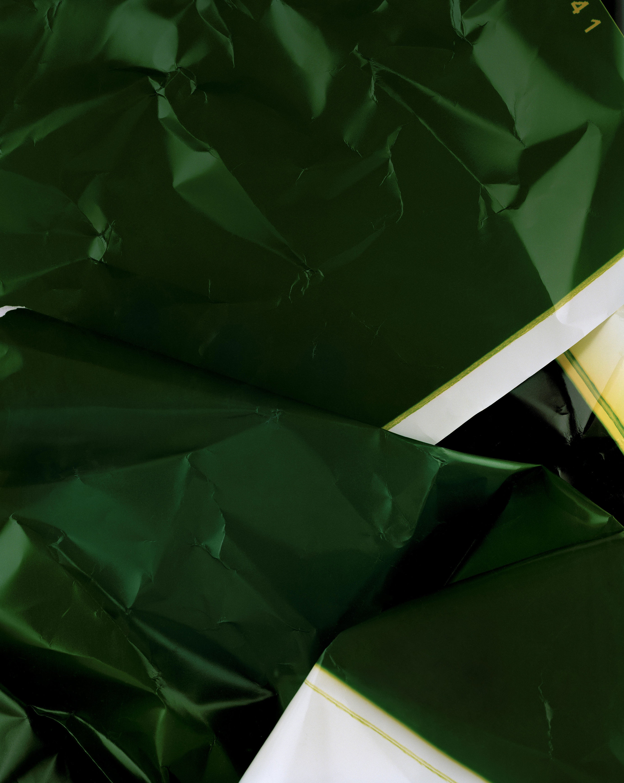   Going green   110 x 90 cm type C print  Custom blackwood frame  Glass  