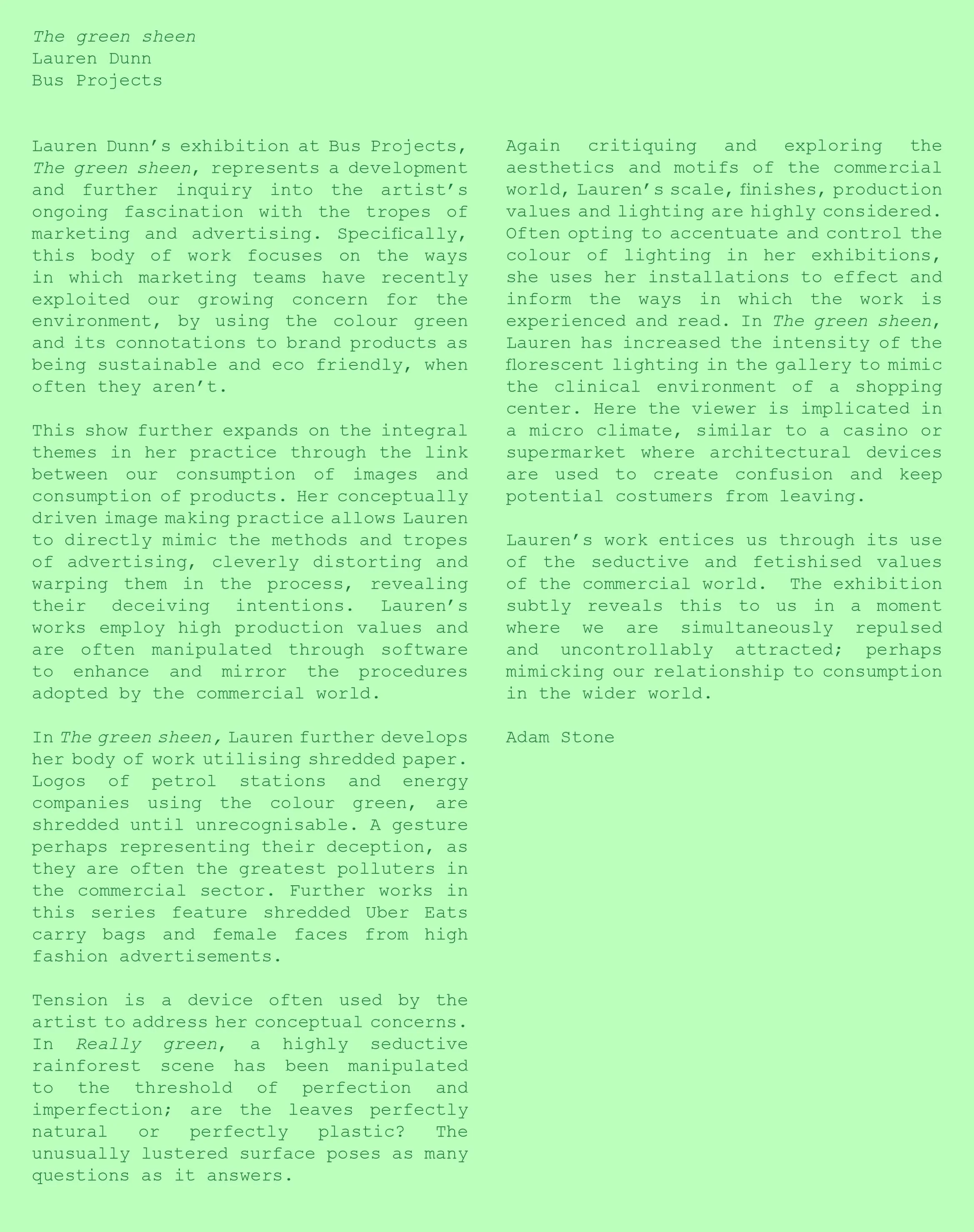  Essay by Adam Stone artist and director of  LON gallery   