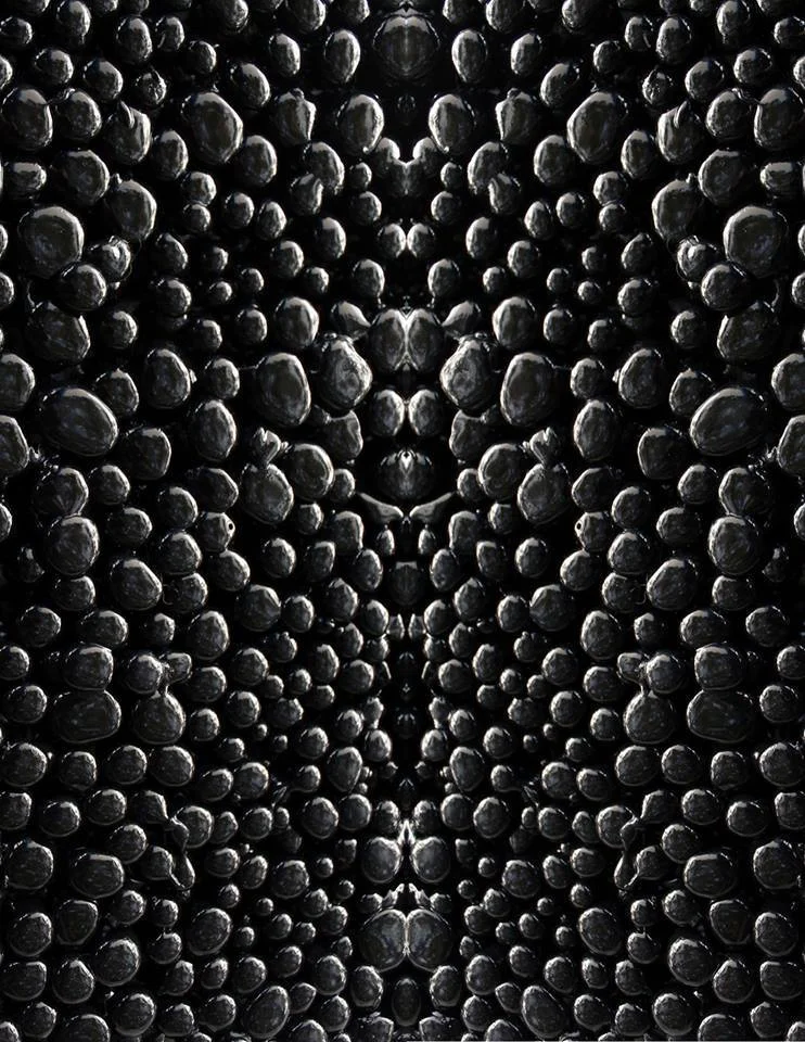 10710818_673995139365425_6907512480969179665_n.jpg