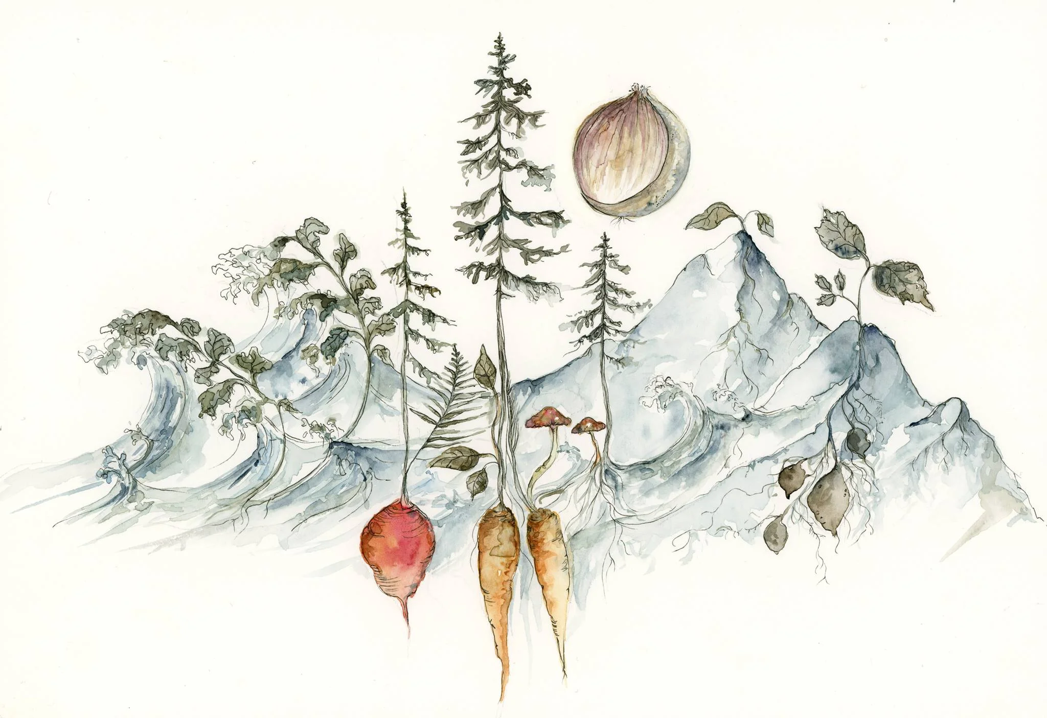 CRF watercolour scanned.jpg