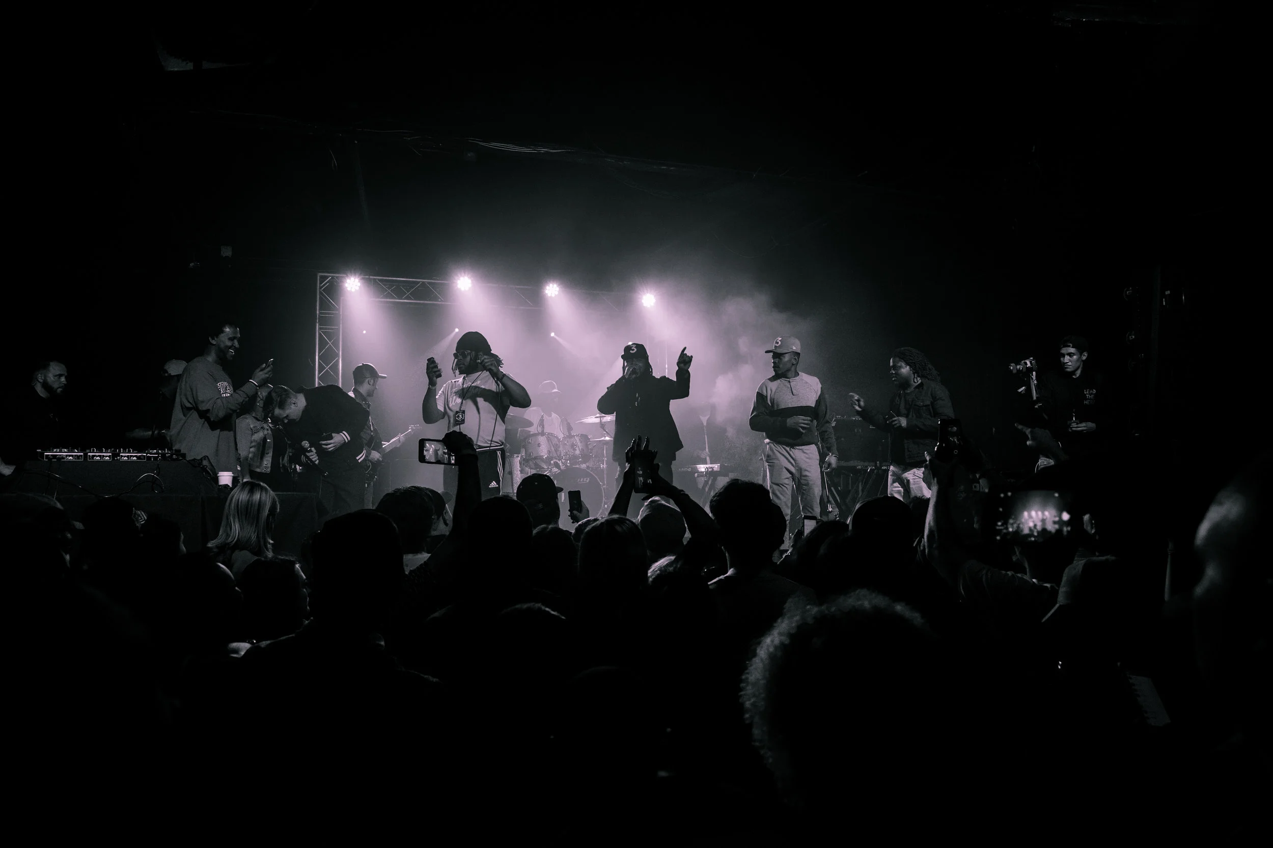 Chance, King Louie, and the Social Experiment (Copy)