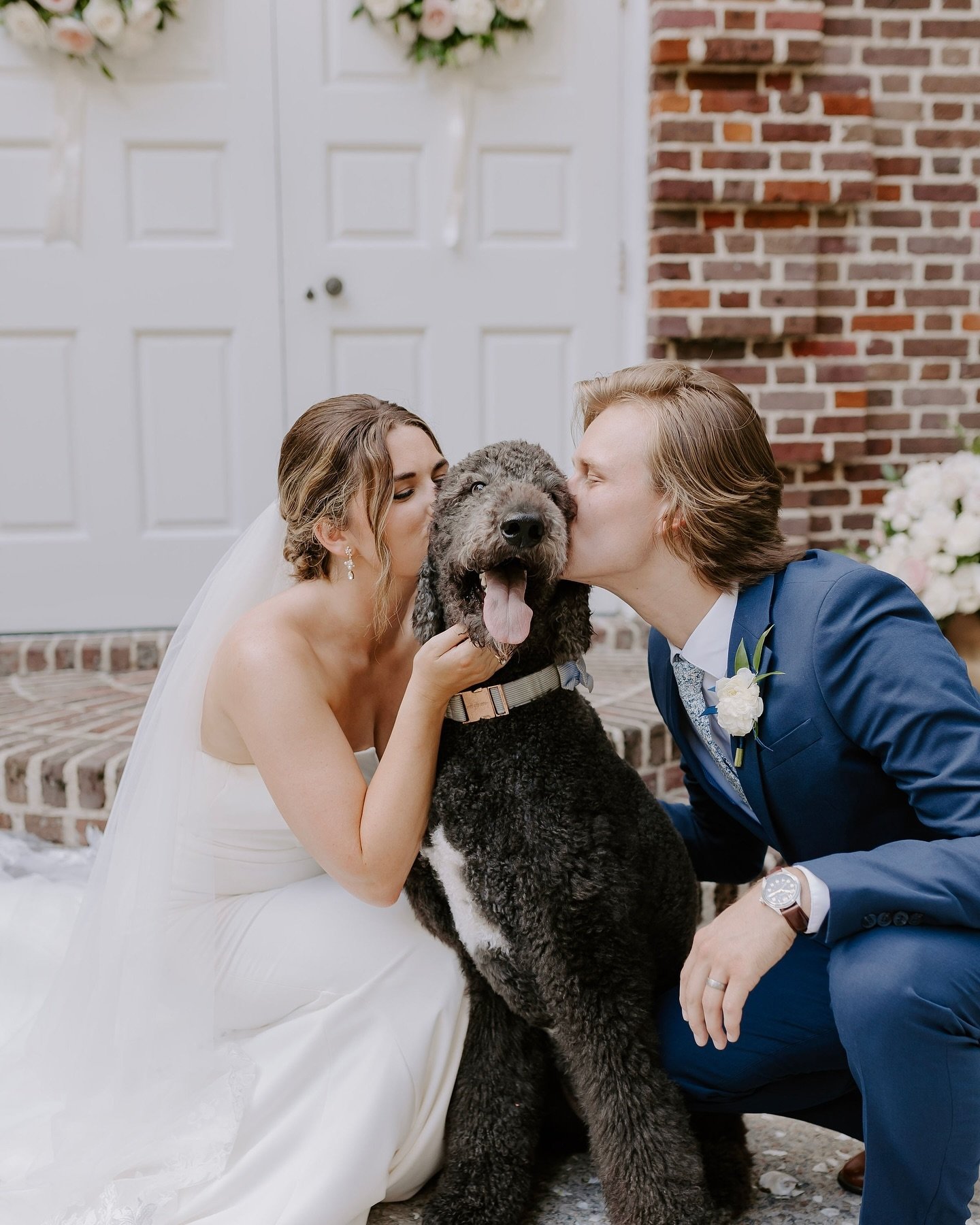 It&rsquo;s #NationalPetDay! 🐶 Here&rsquo;s to all of the pets who make an appearance on cocktail napkins, wedding signage, attend ceremonies/couples portraits, and all of the pets in between. 🥂🐱