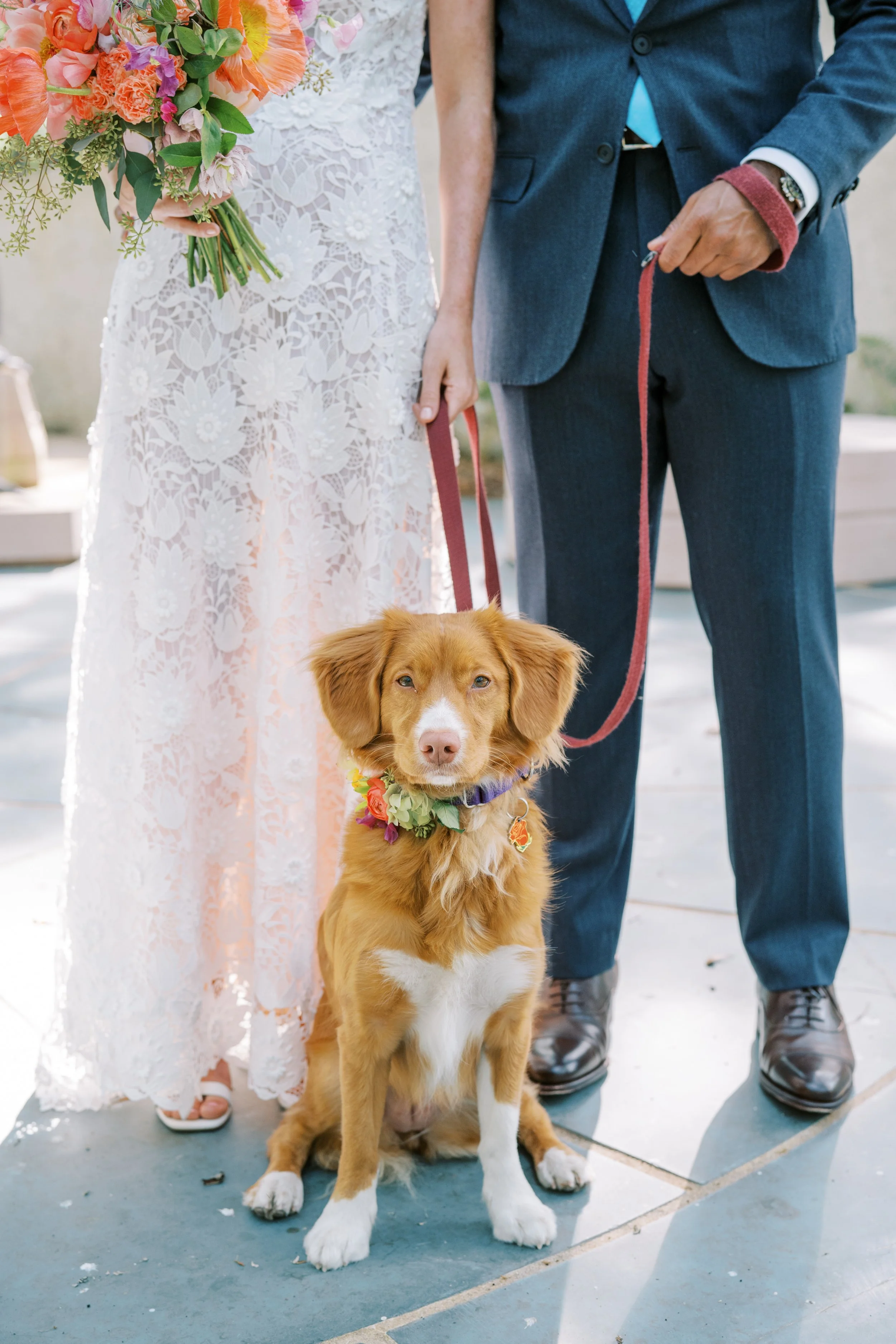 Mallory&Bathi_glimpse31.jpg