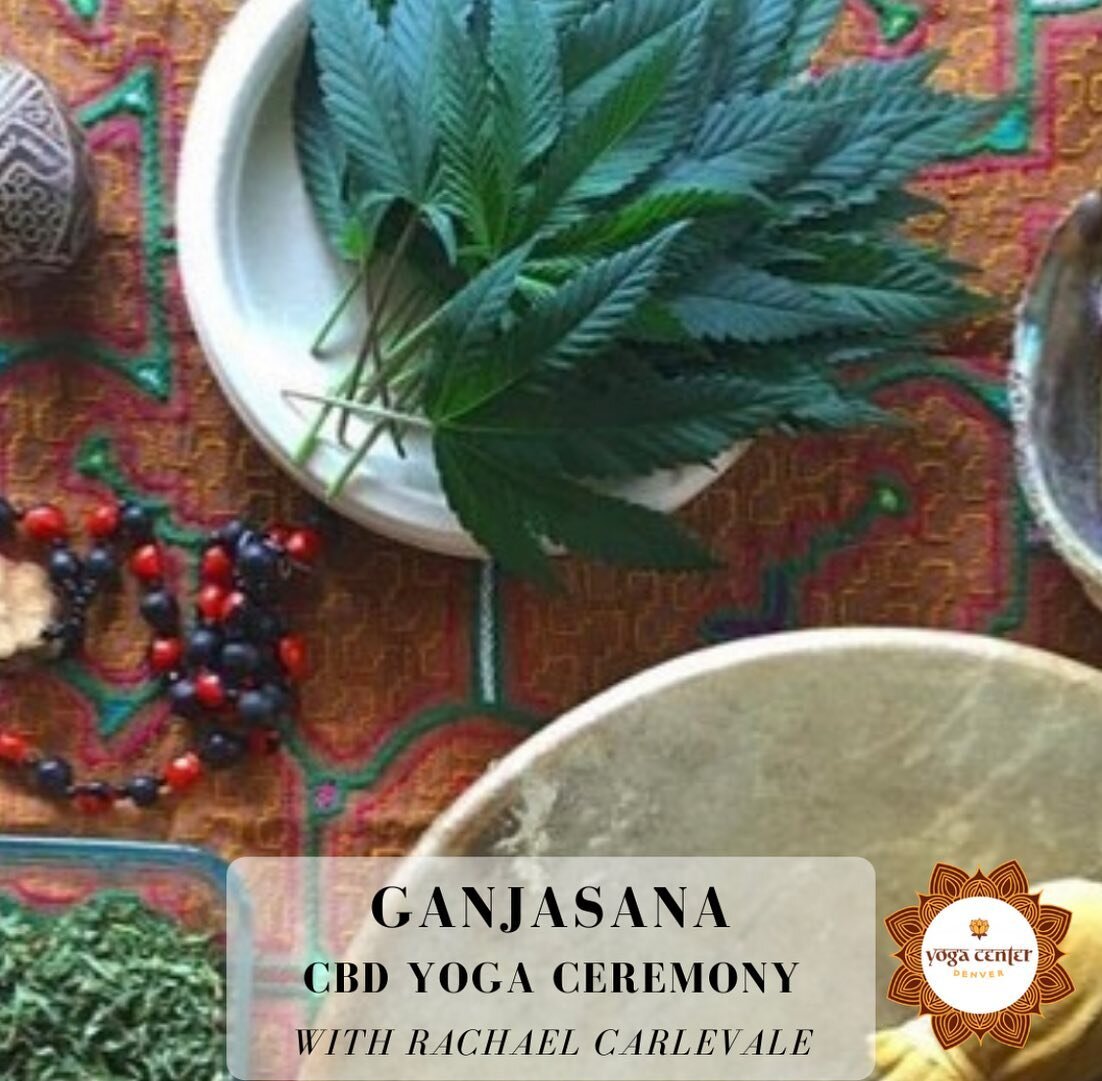 January 21, 2022 ✨5-7pm MST 

Join me in person at @yogacenterdenver for a special Hemp @oursuelovivo yoga ceremony!!! 

✨♾🌱

Join Ganjasana for a healing hemp plant-spirit yoga ceremony - a transformative experience rooted in ancestral lineages. In