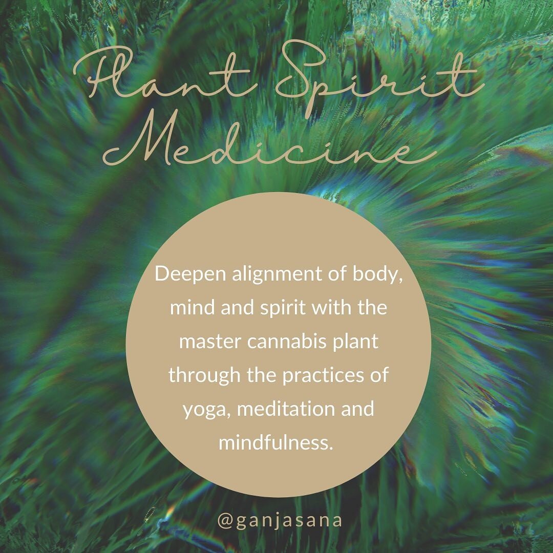 What is plant spirit medicine? 

How can we deepen alignment of mind and spirit with the cannabis plant? 

We work with the ancient practices of:
💫Yoga 
🧘🏽&zwj;♀️Meditation
📿Mindfulness 

YOGA: serves to align them body and mind in preparation to