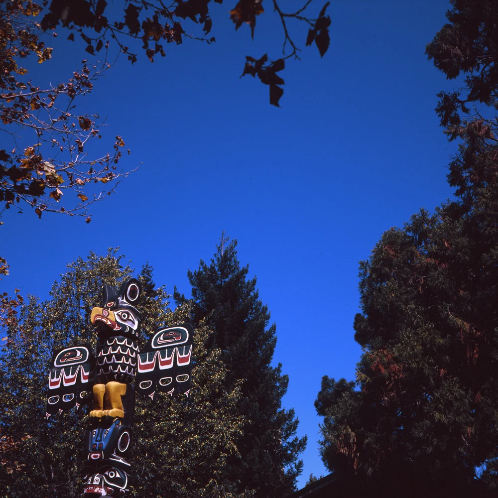 Oakland002.jpg