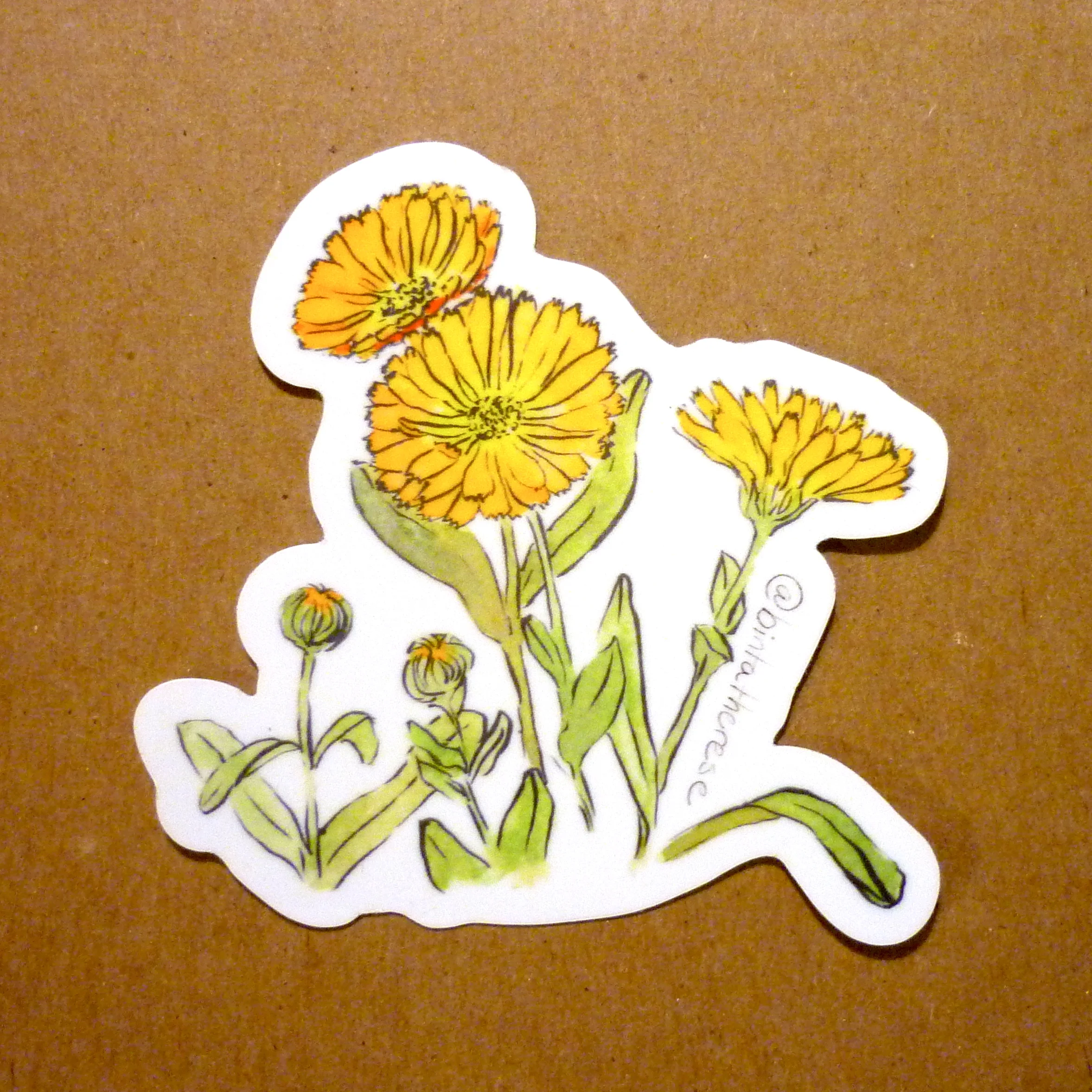 Calendula Sticker.Die Cut.JPG