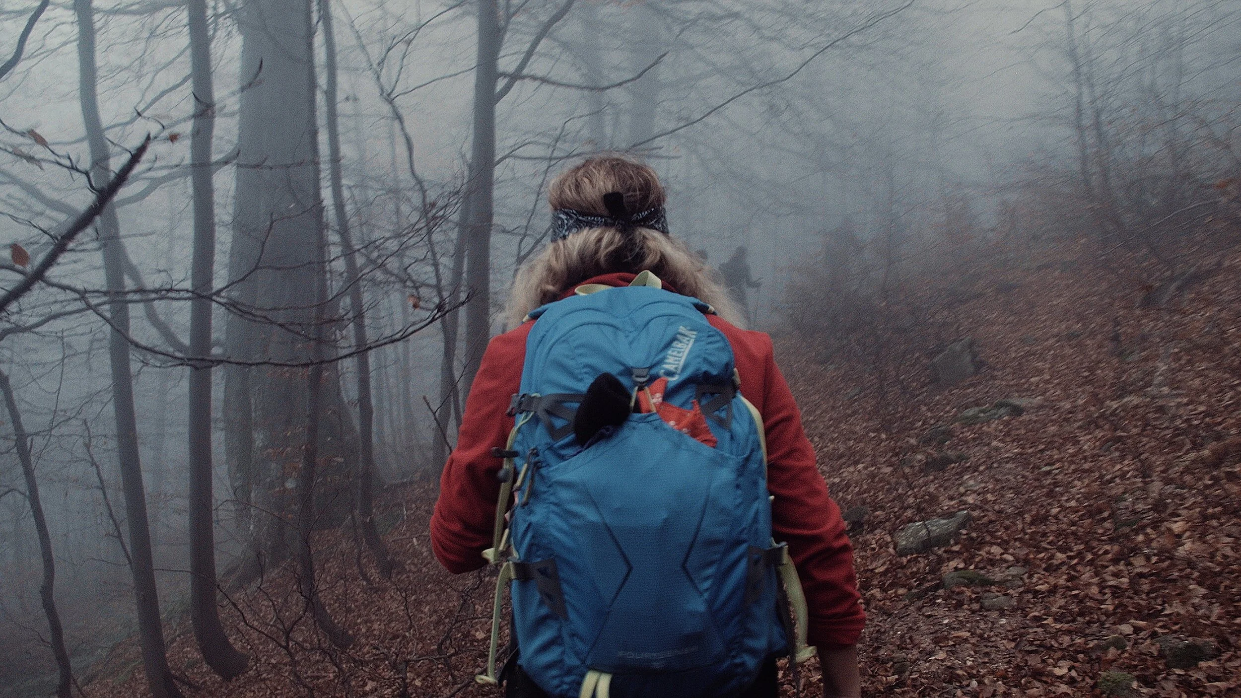 Our Responsibility in Suffering
