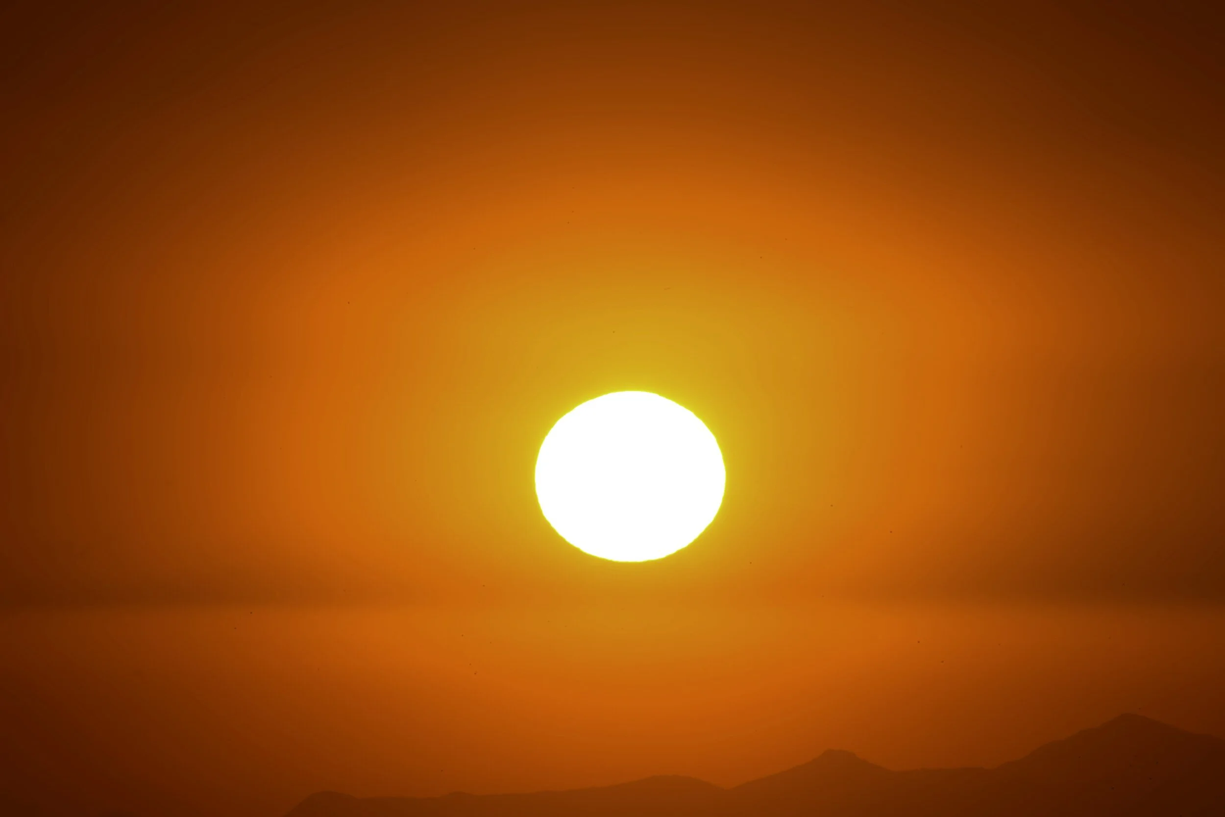 The Secret of Fruitfulness in the Midst of Heat and Drought