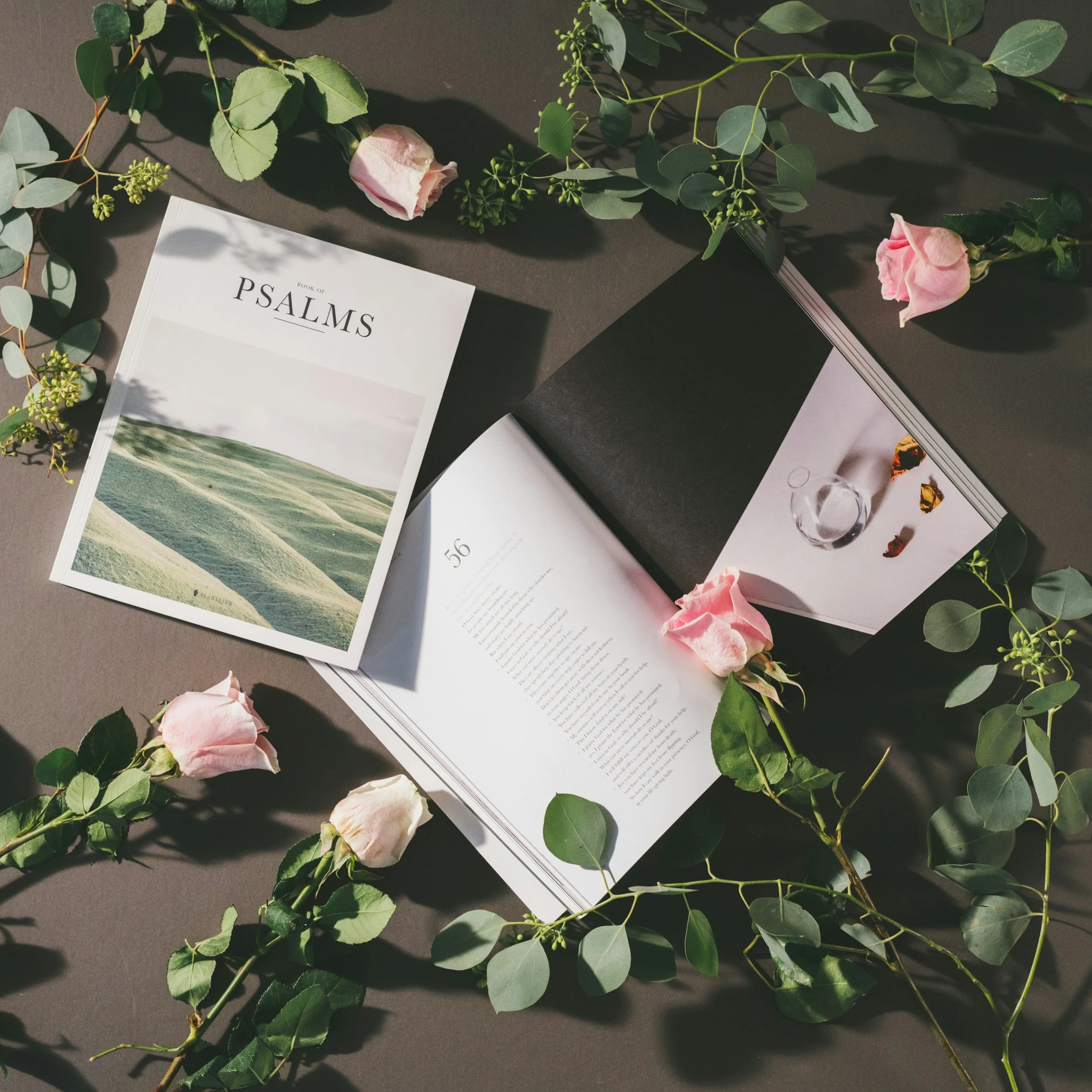 Summer in the Psalms: A New Series