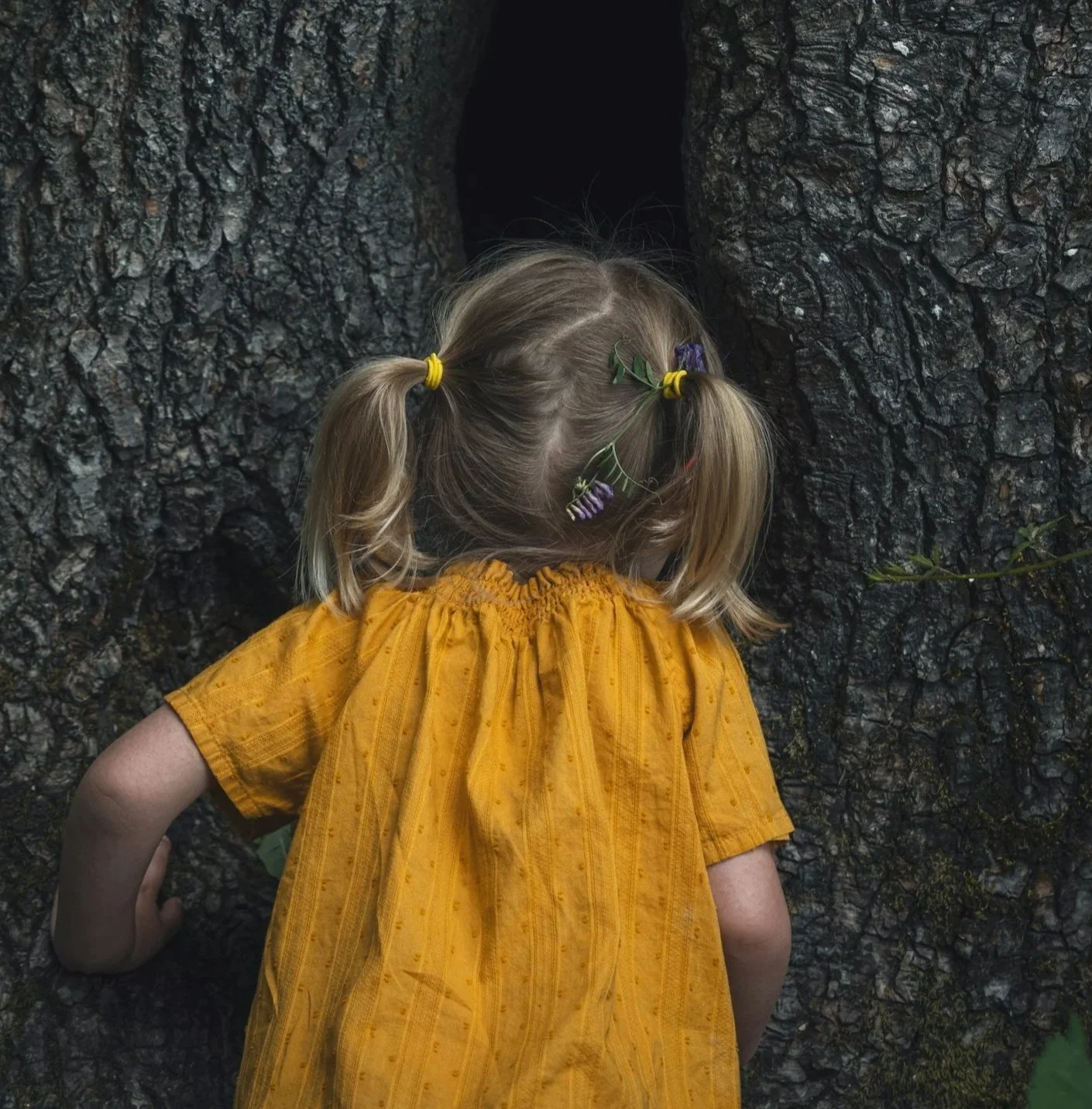Building God-Awareness Through Wonder and Gratitude
