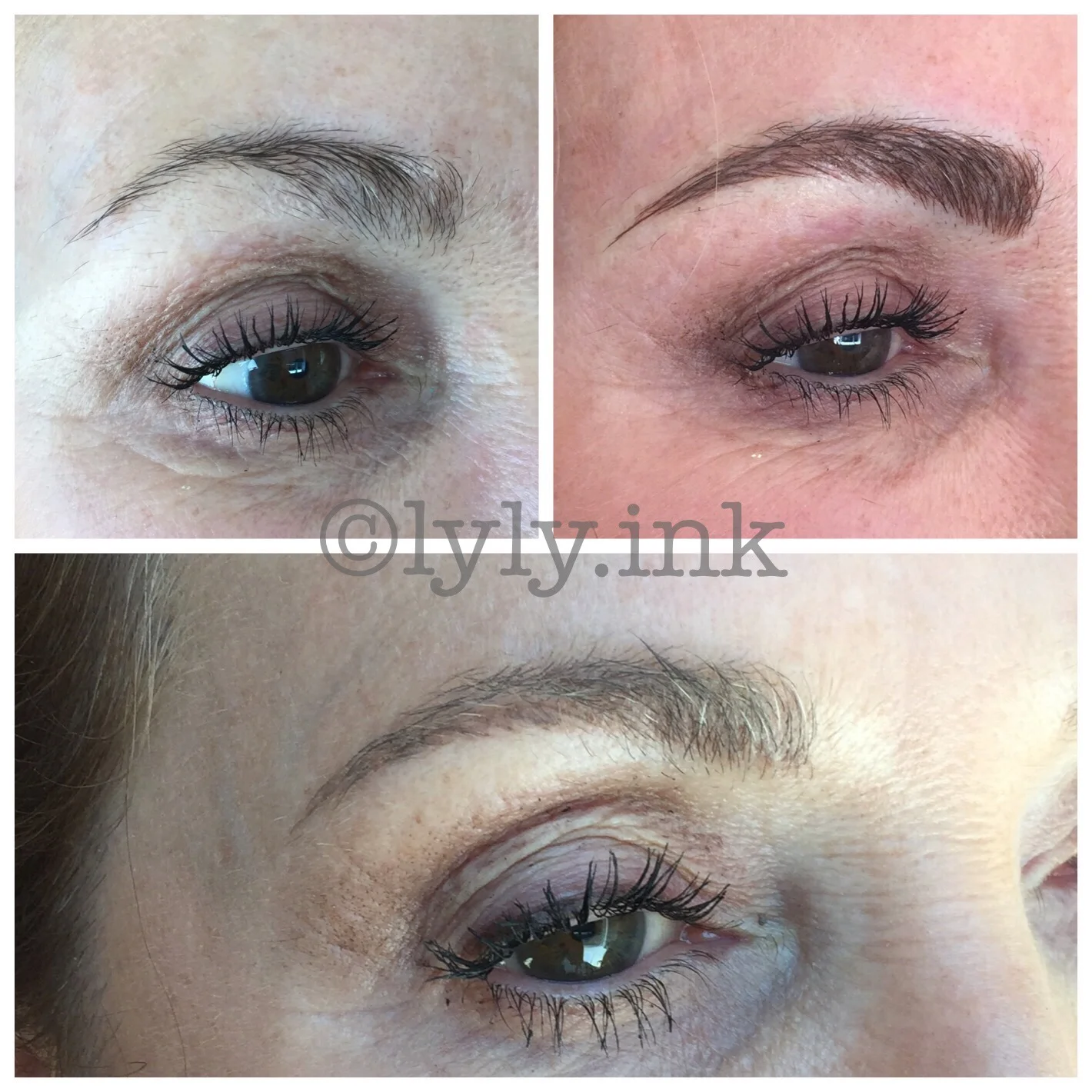 Before, After and Healed Microblading (before touchup)