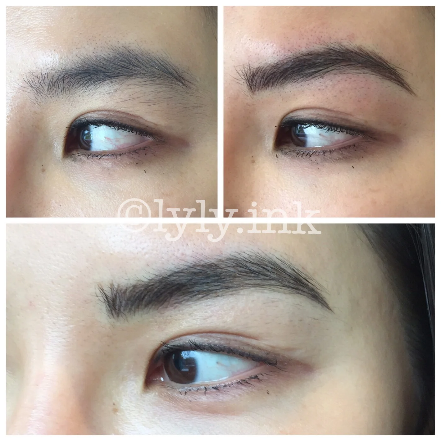Before, After and Healed Microblading (after touchup)