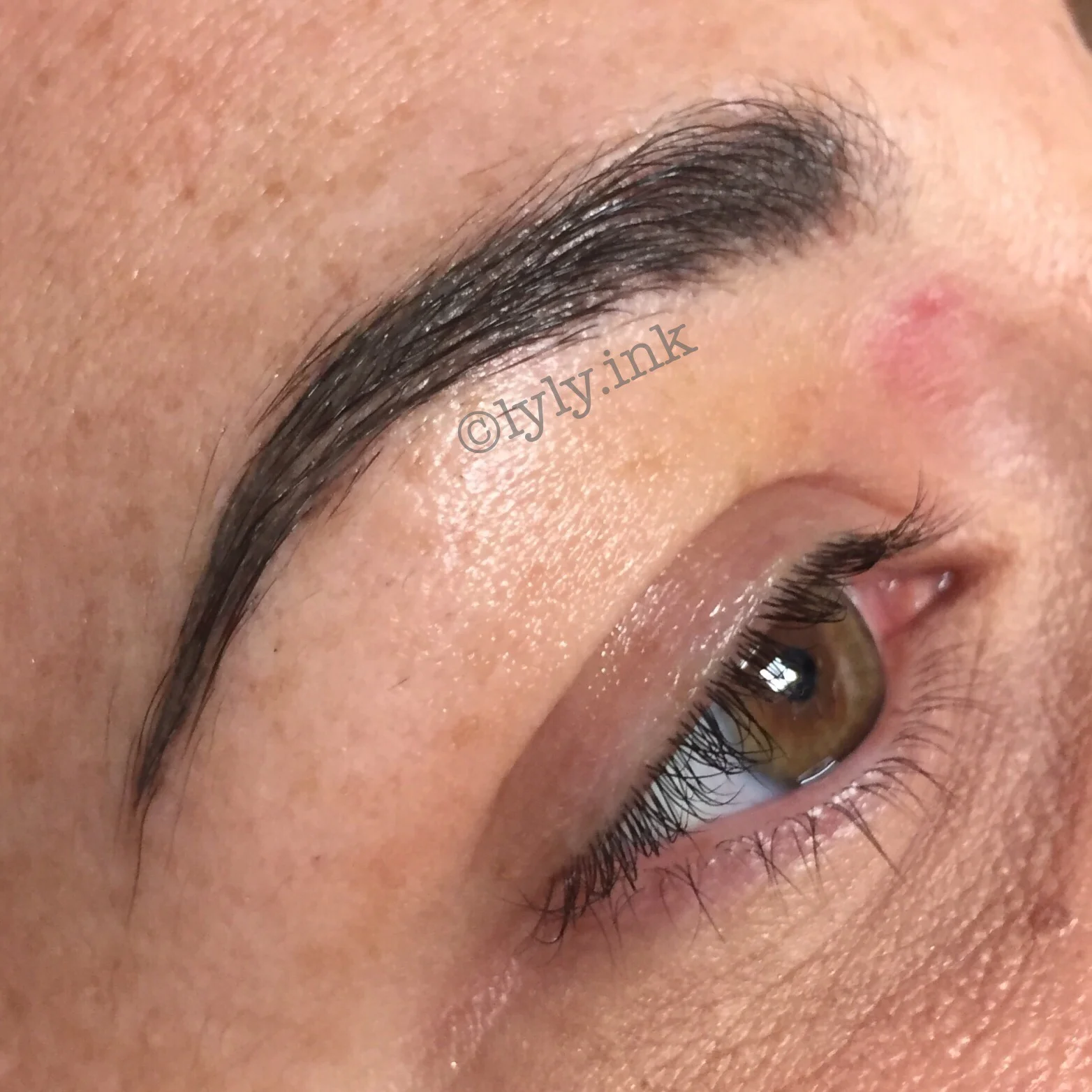 Healed microblading before touchup