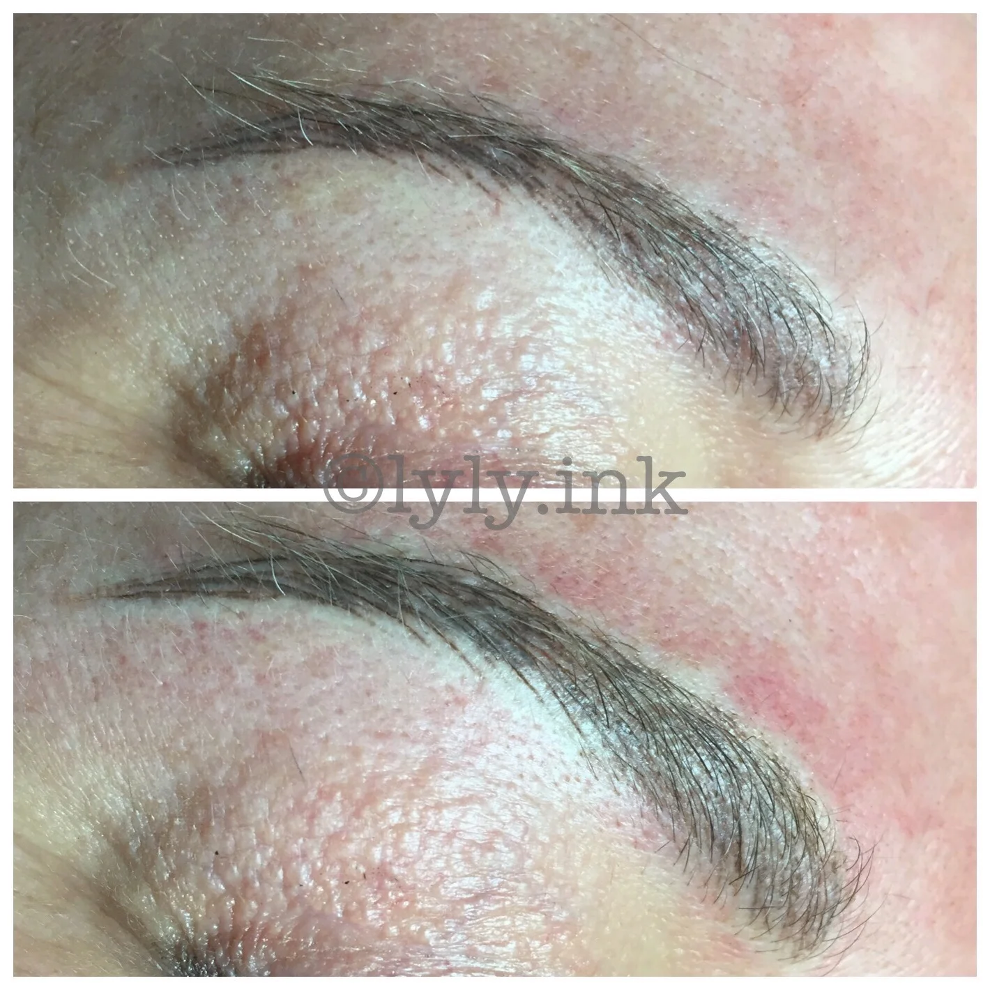 Healed after first Microbladoing session, and post-touchup