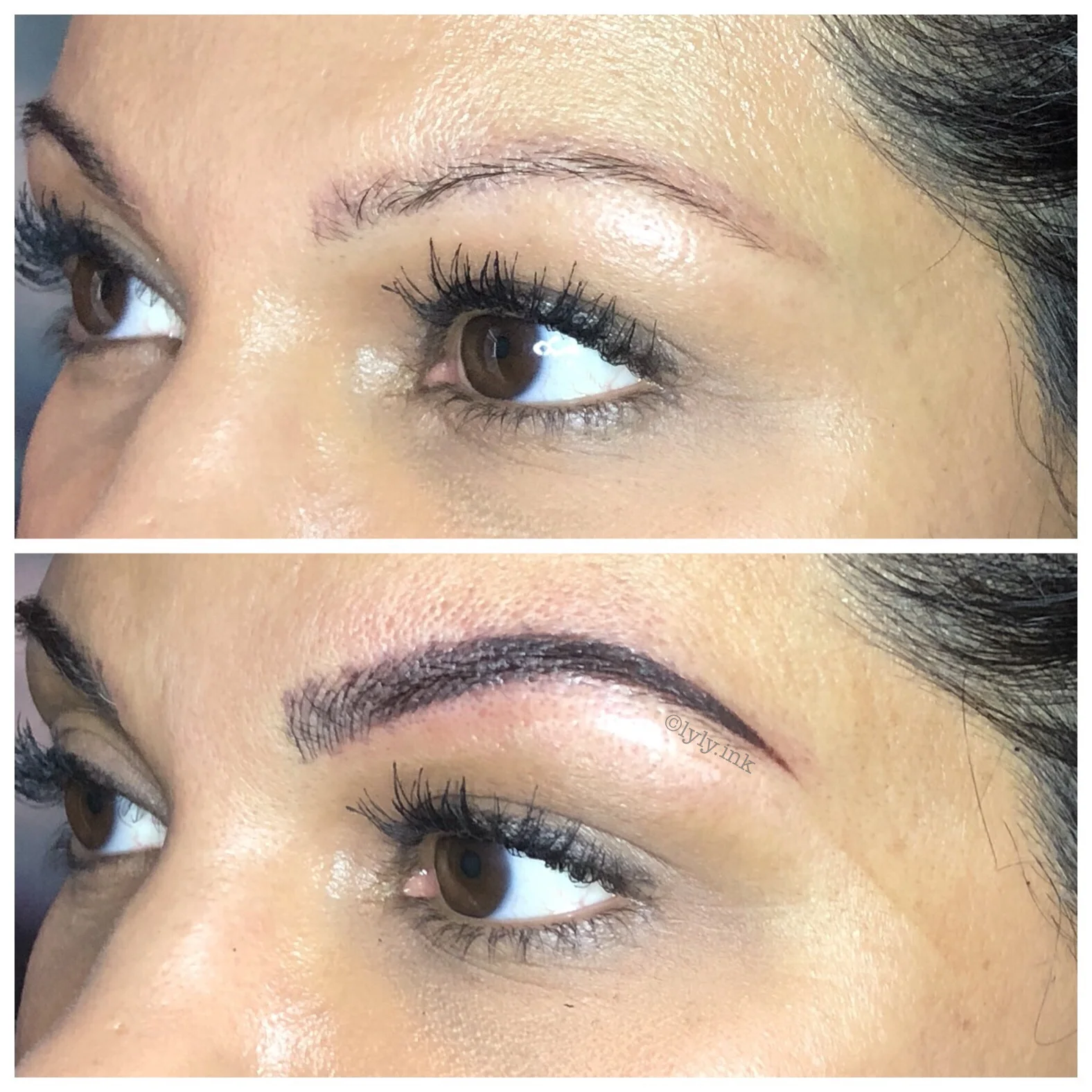 "Blade and Shade" microblading and machine combo brows