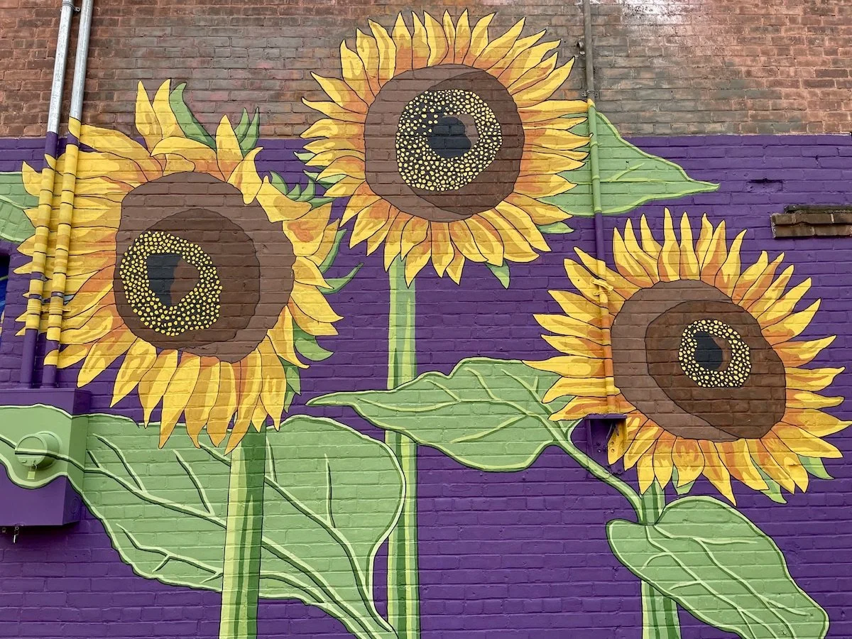 sunflowers6.jpg