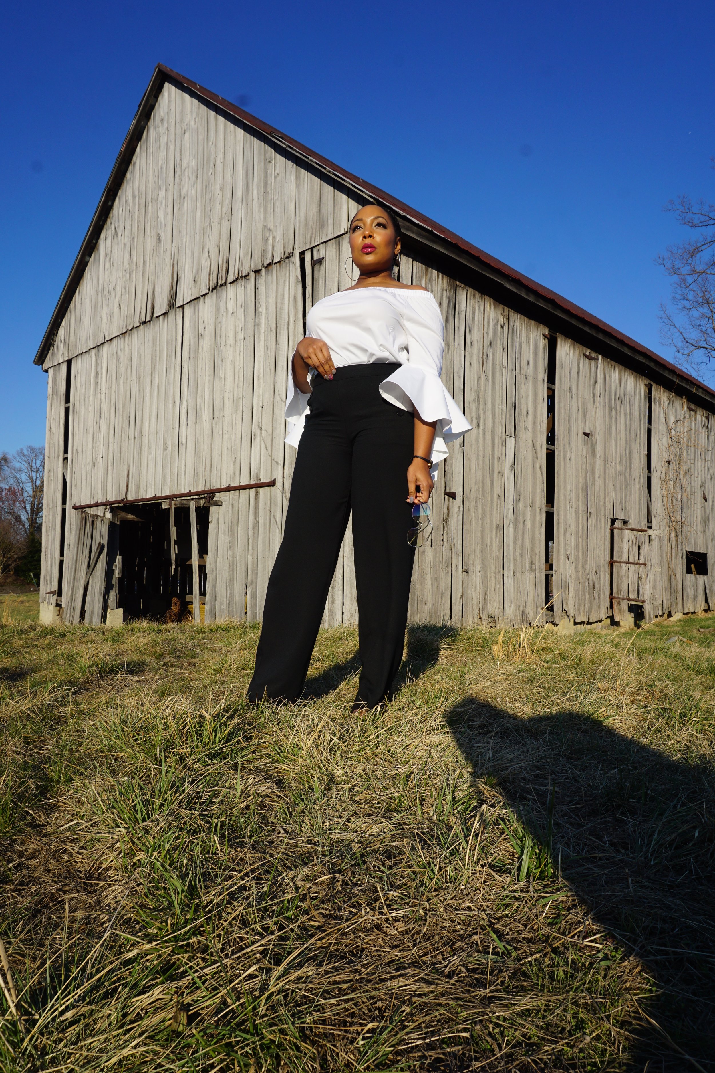 Ruffle Sleeves & High Waisted, Wide Leg Pants