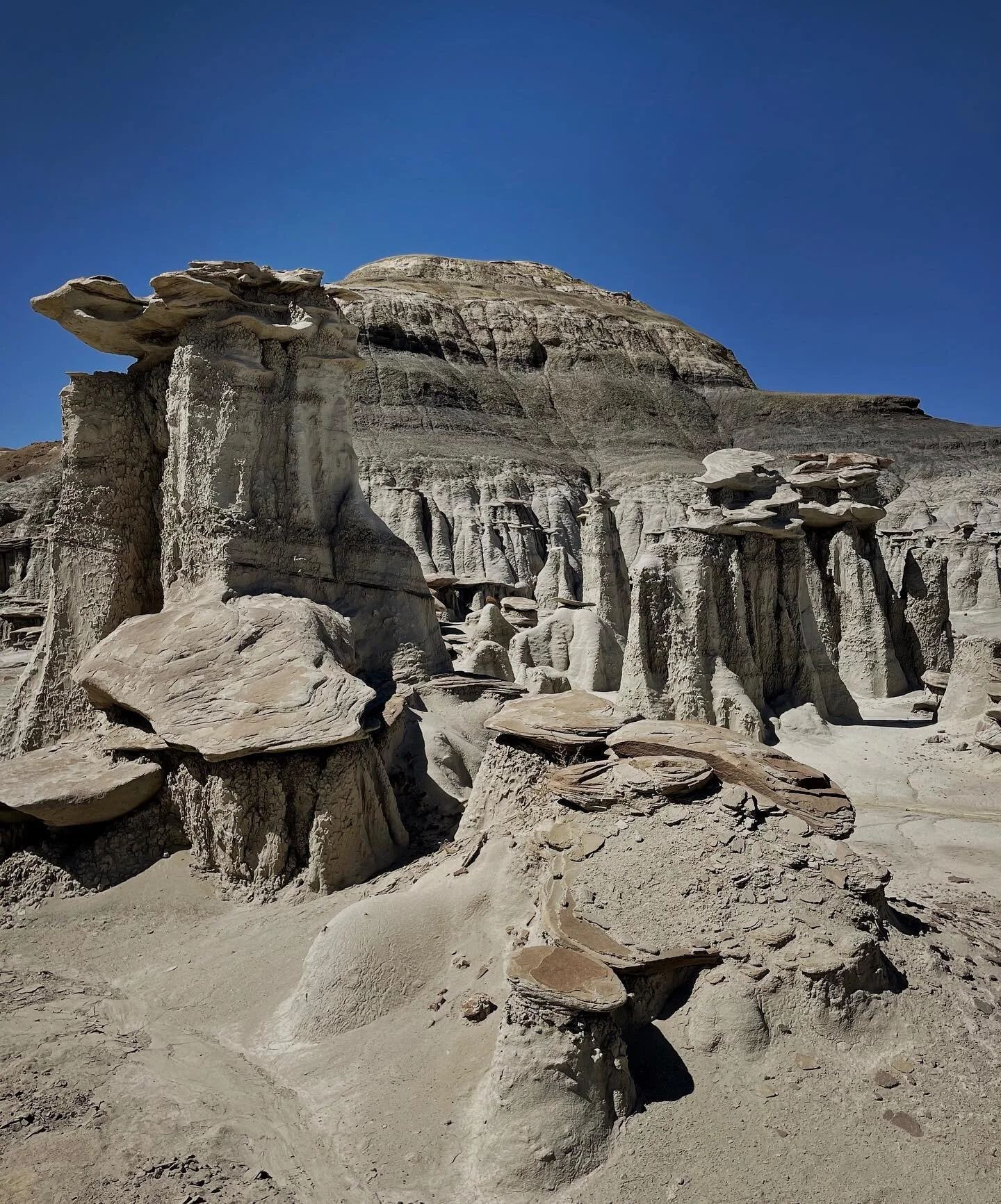Funky formations in the Bisti Badlands #newmexico #bistibadlands #weird