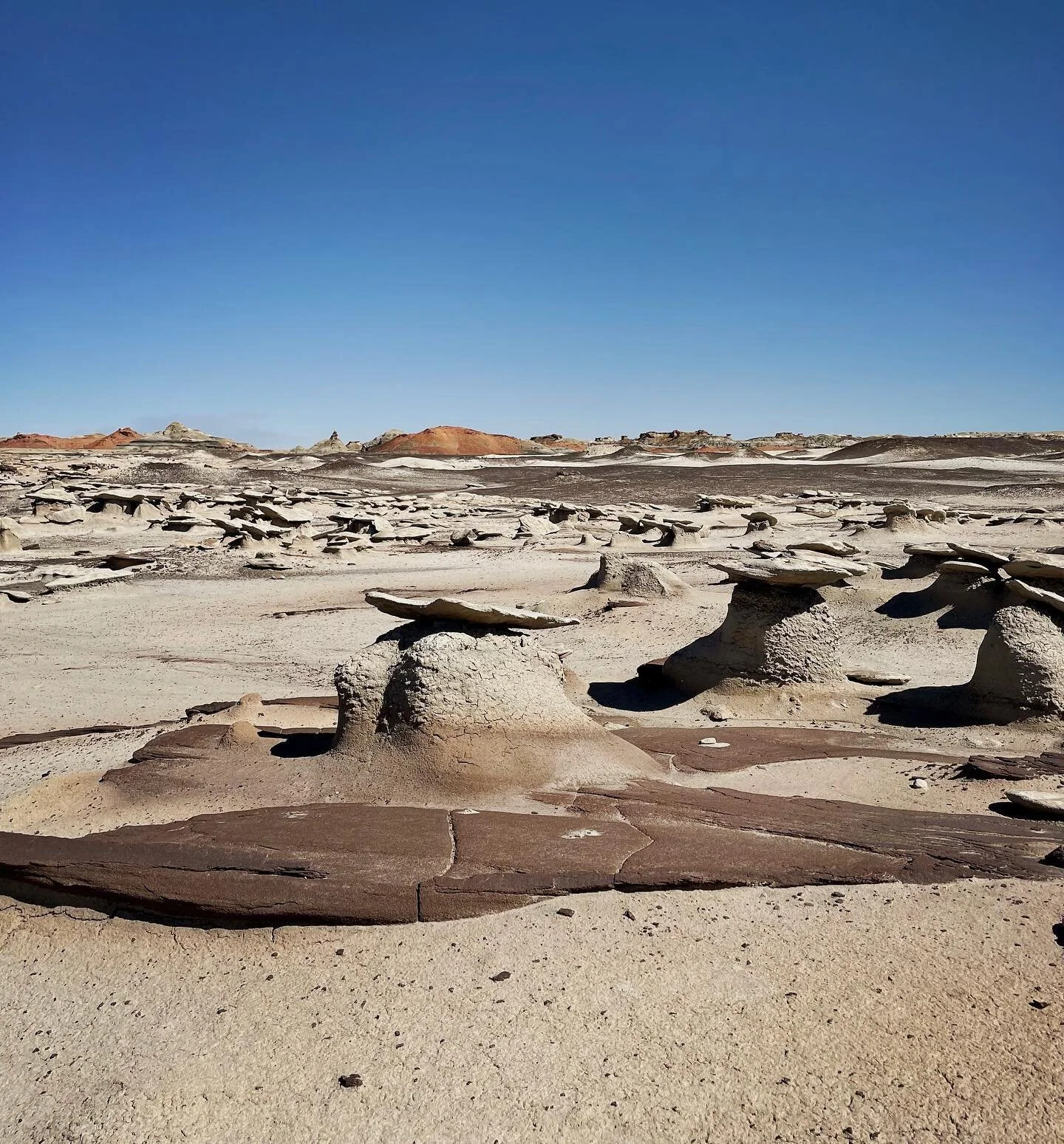 Nothing but weirdness out here. #bistibadlands #newmexico