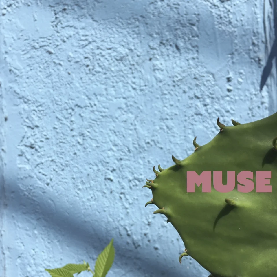 BABES FEST May Playlist: MUSE