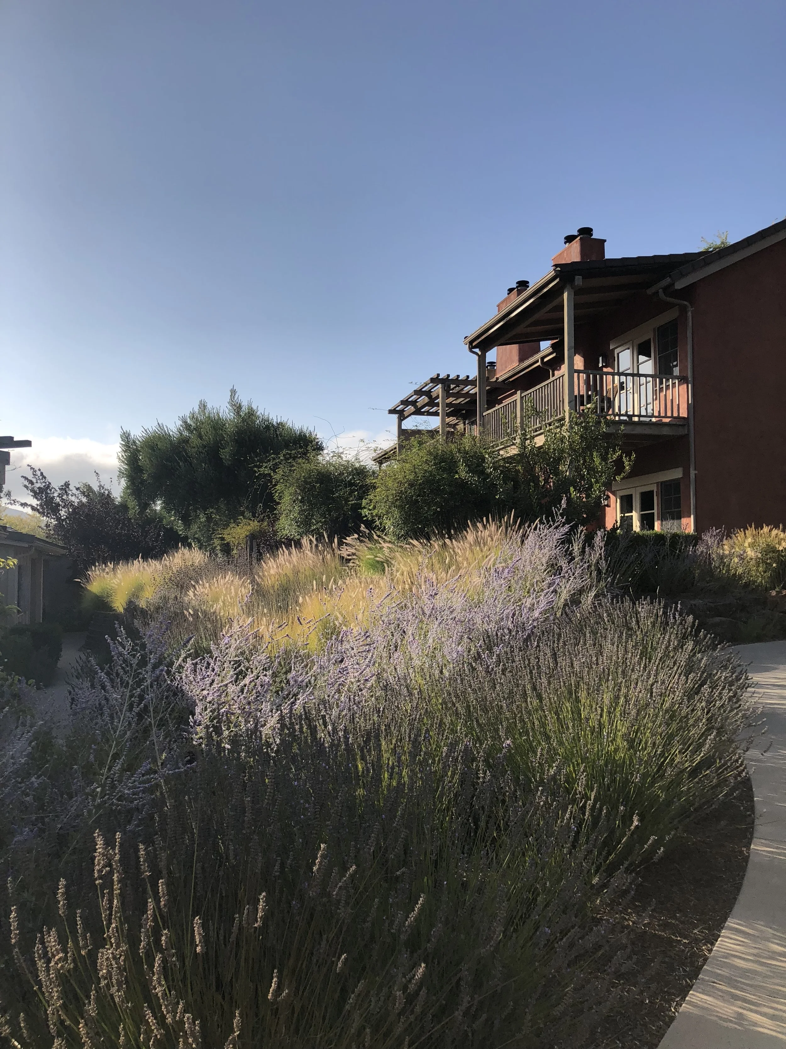 Travel Guide: Carmel + Carmel Valley