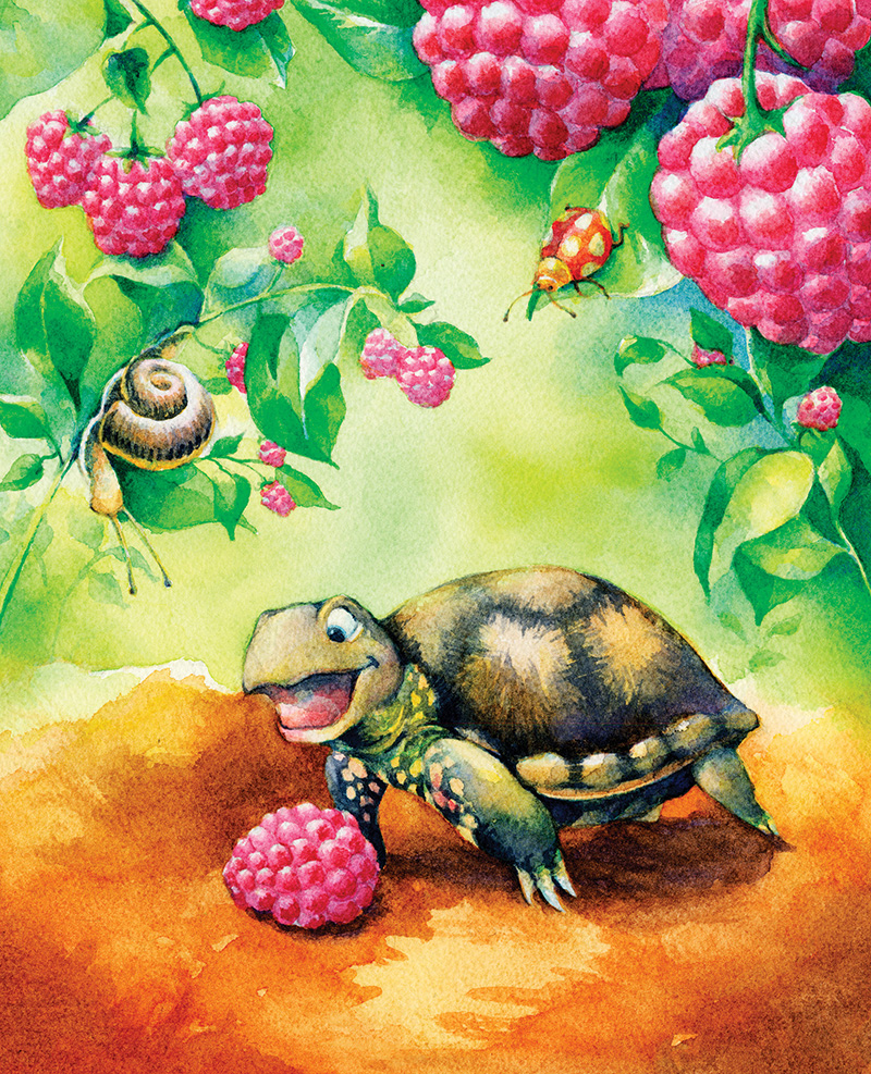 TurtleRaspberry.jpg