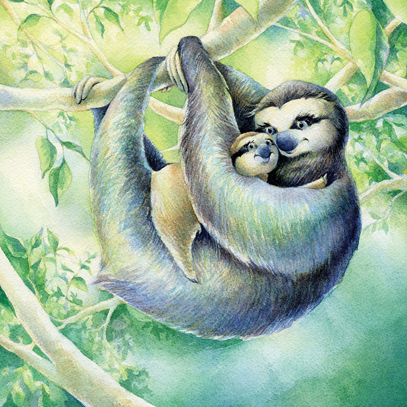 Sloths.jpg