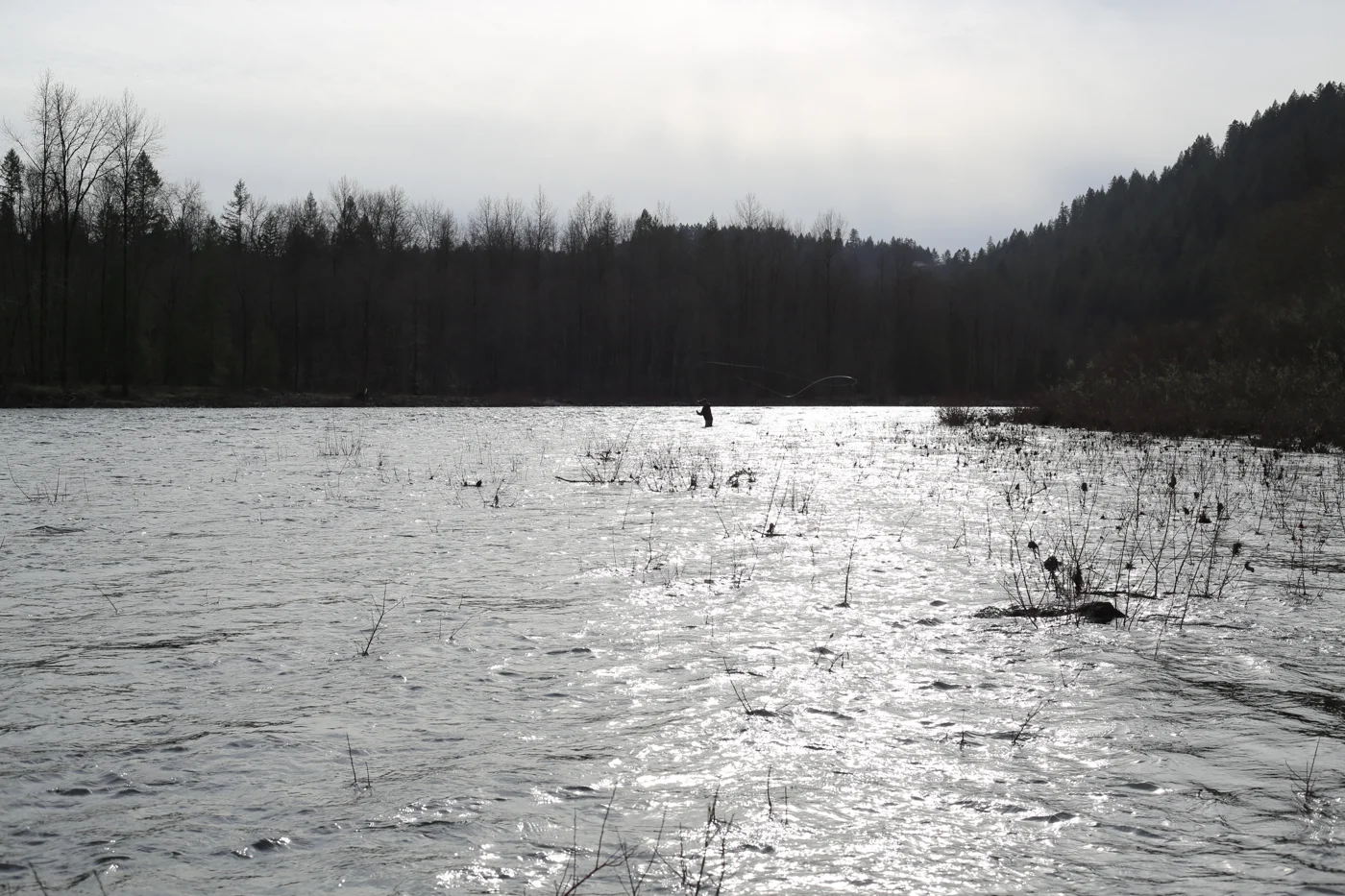 the-roving-dears-c2016-steelhead-sandy-IMG_7712.jpg