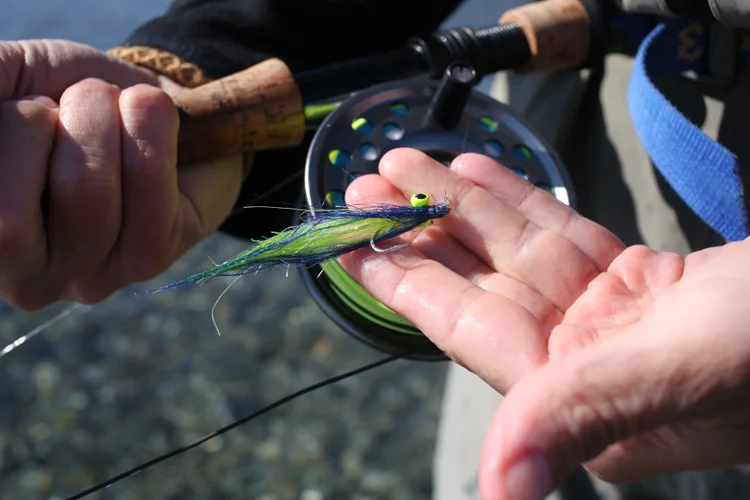the-roving-dears-c2016-steelhead-sandy-IMG_1255.jpg