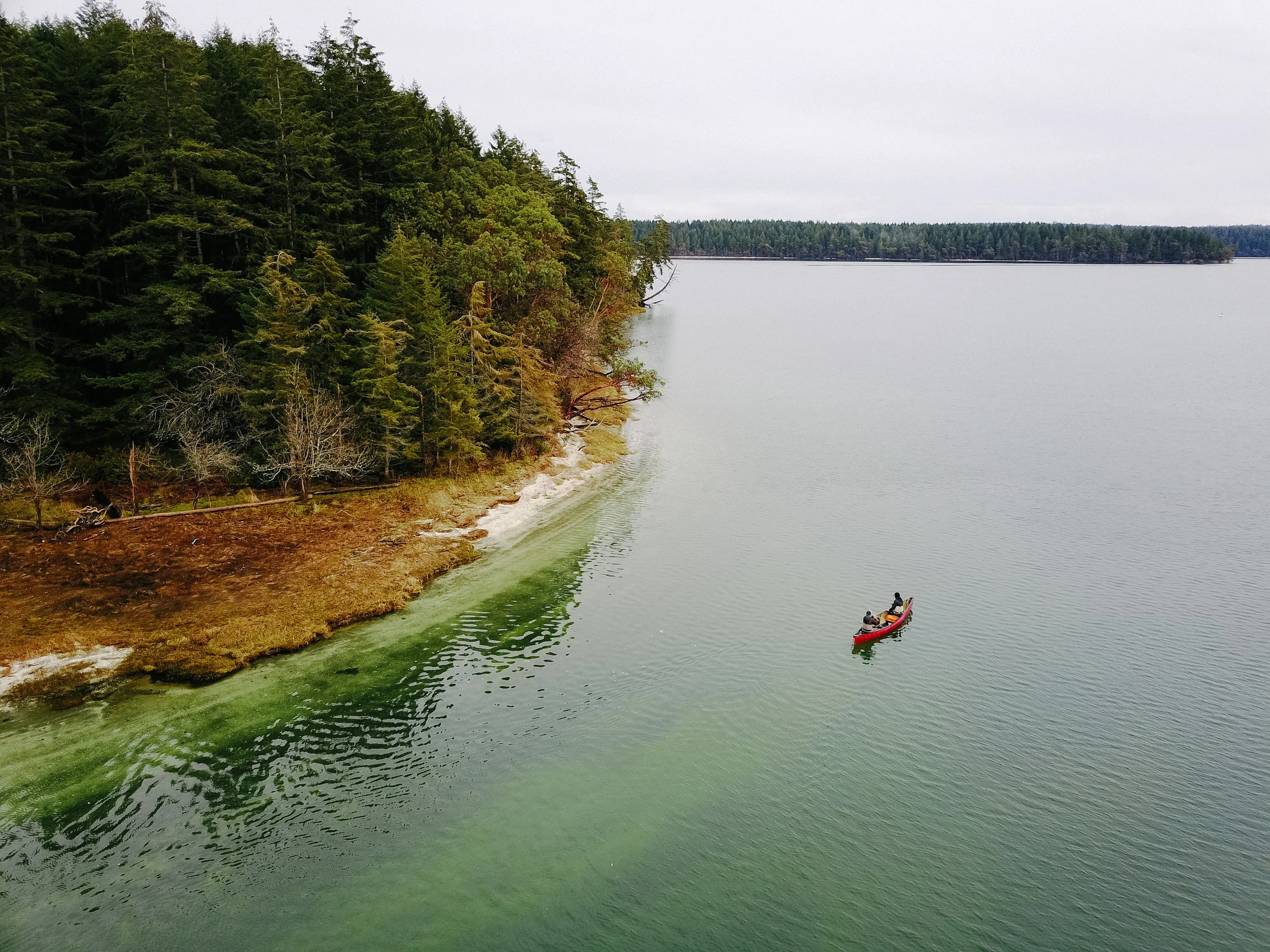 20170122_JarrellCove_DJI_0062.jpg