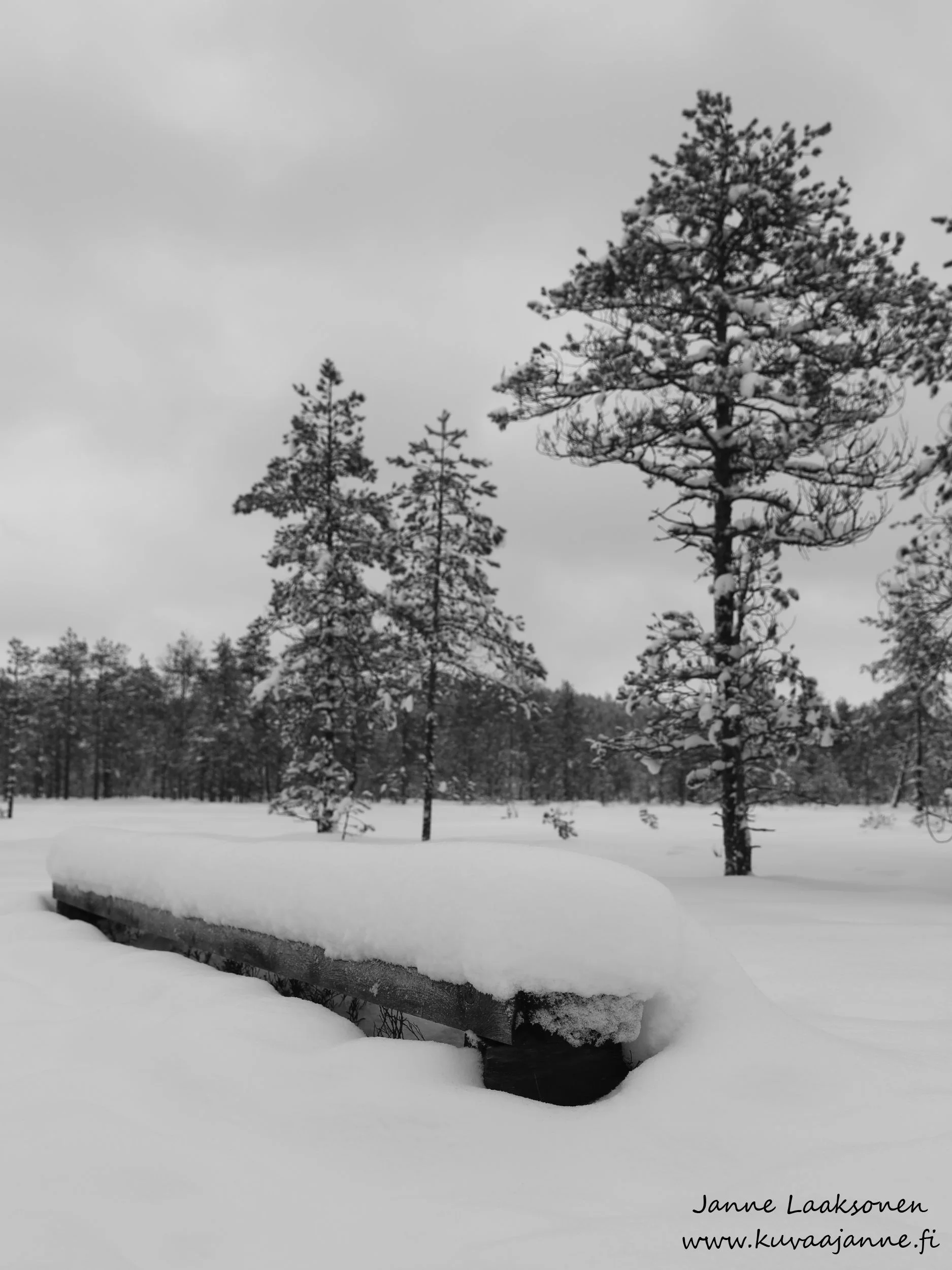 Blogikuvia