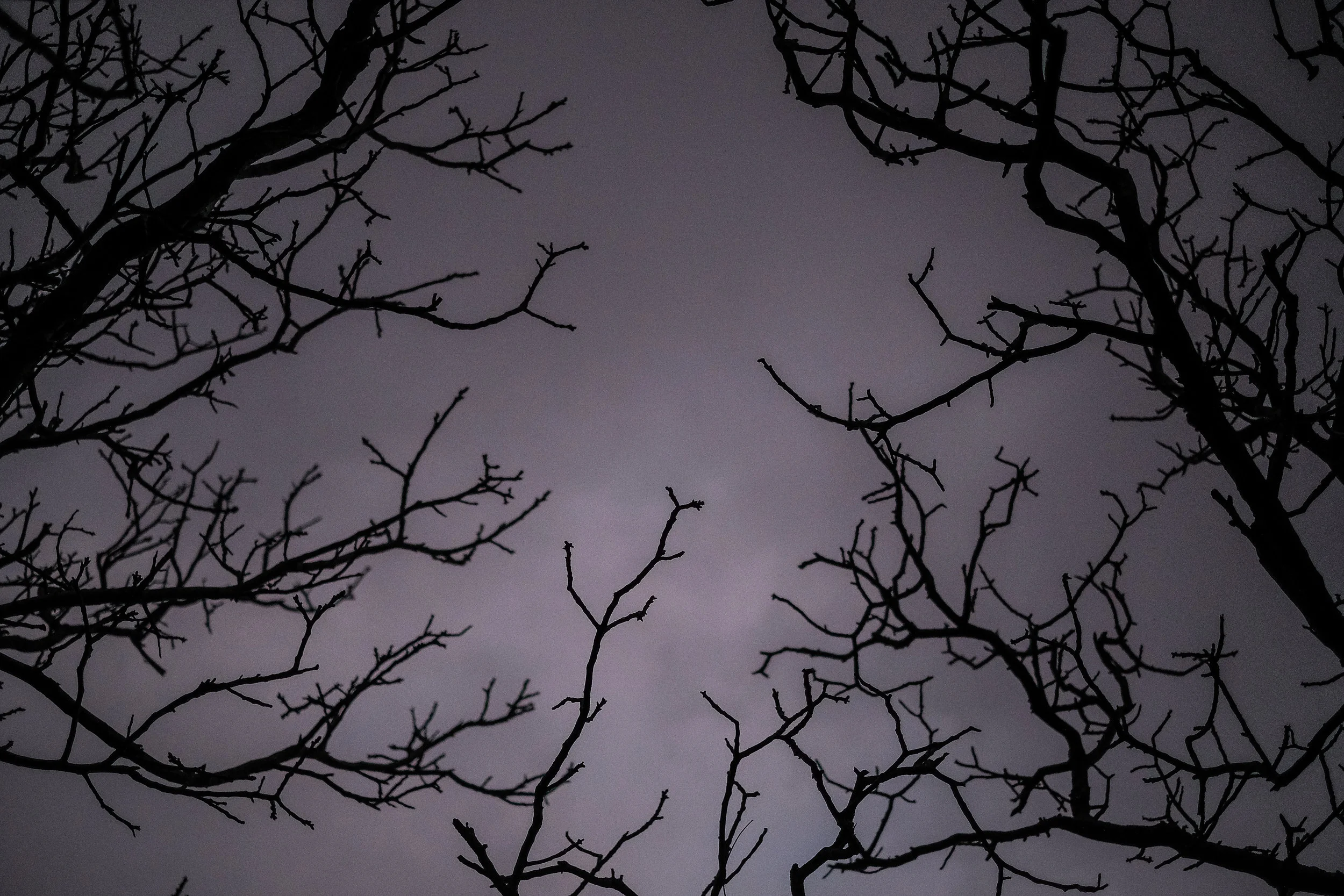 DSCF3438.jpg