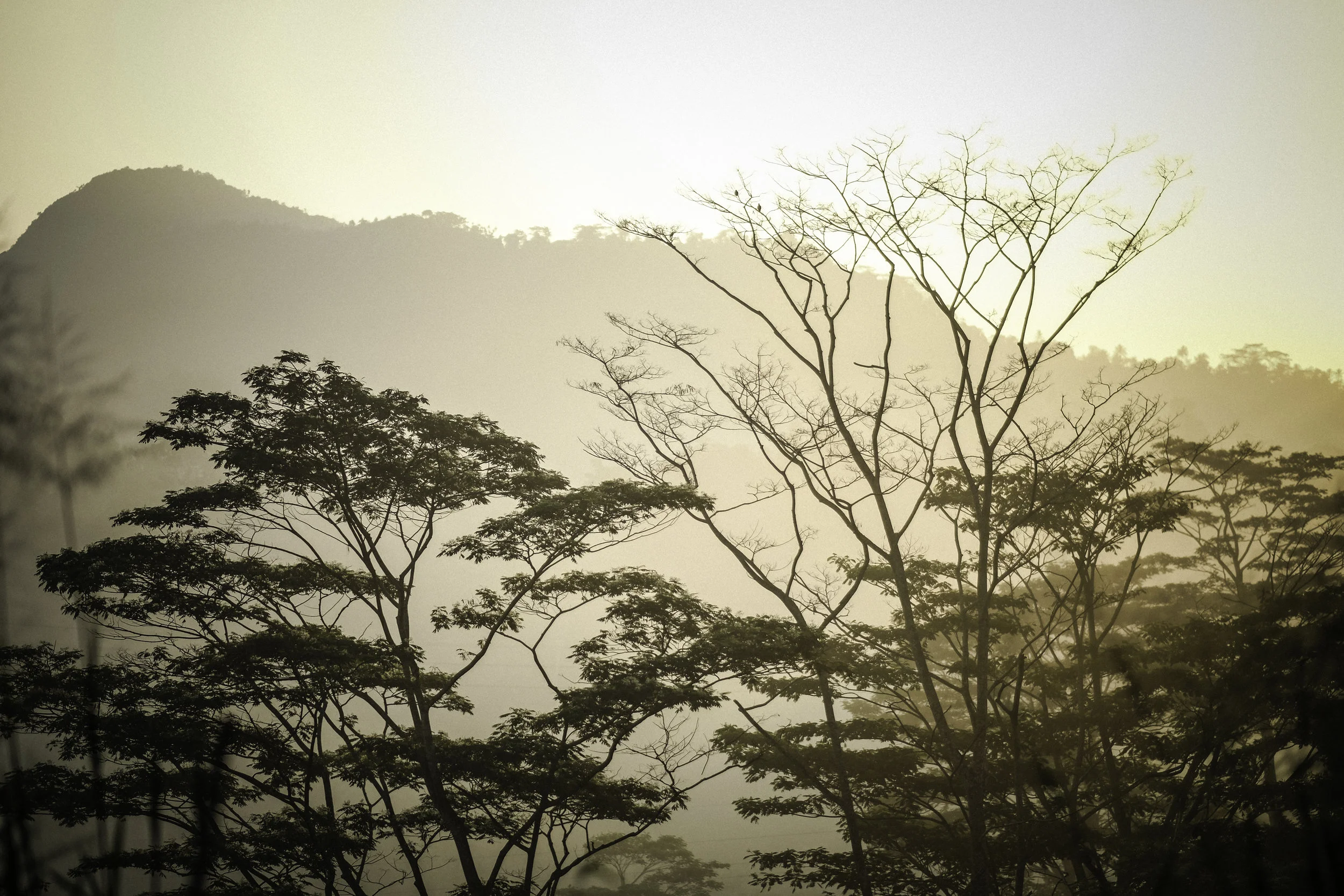 DSCF9761.jpg