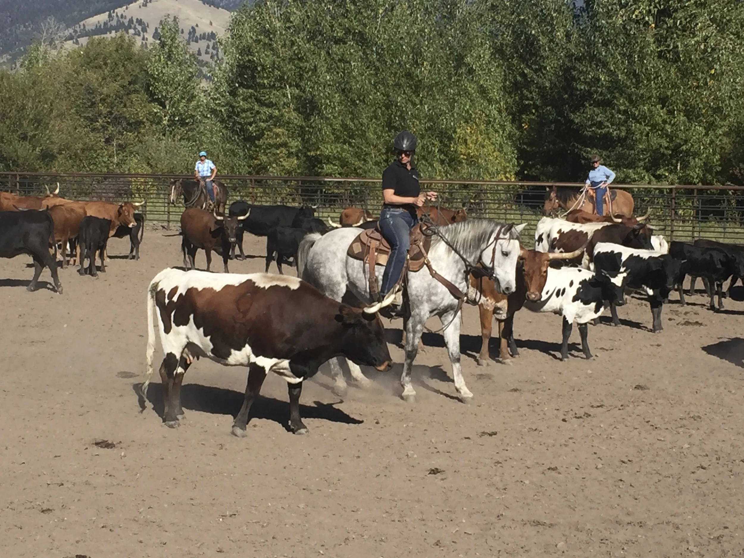 Dave Ellis & Jody-Grimm Ellis