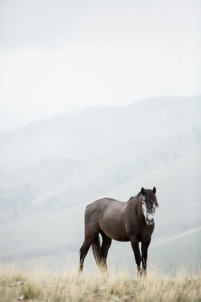 tracey buyce saratoga ny photographer-816.jpg