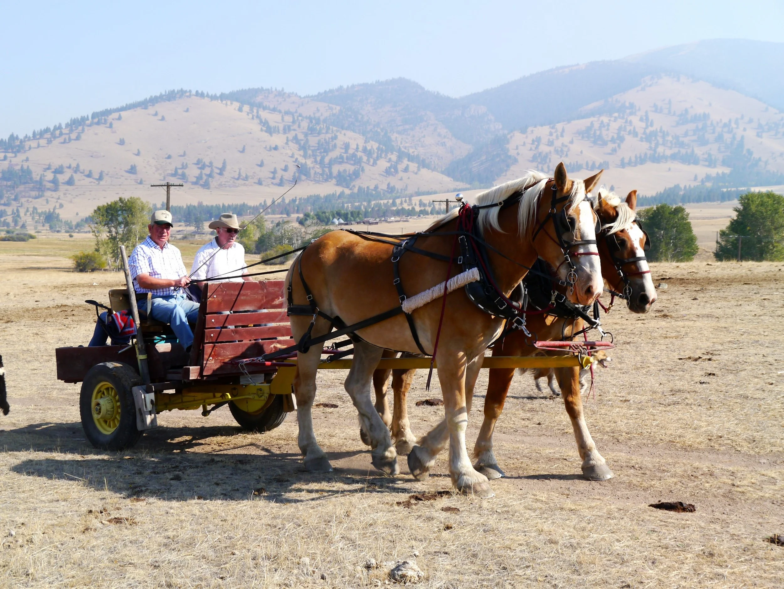 Personalization — Rocking Z Guest Ranch