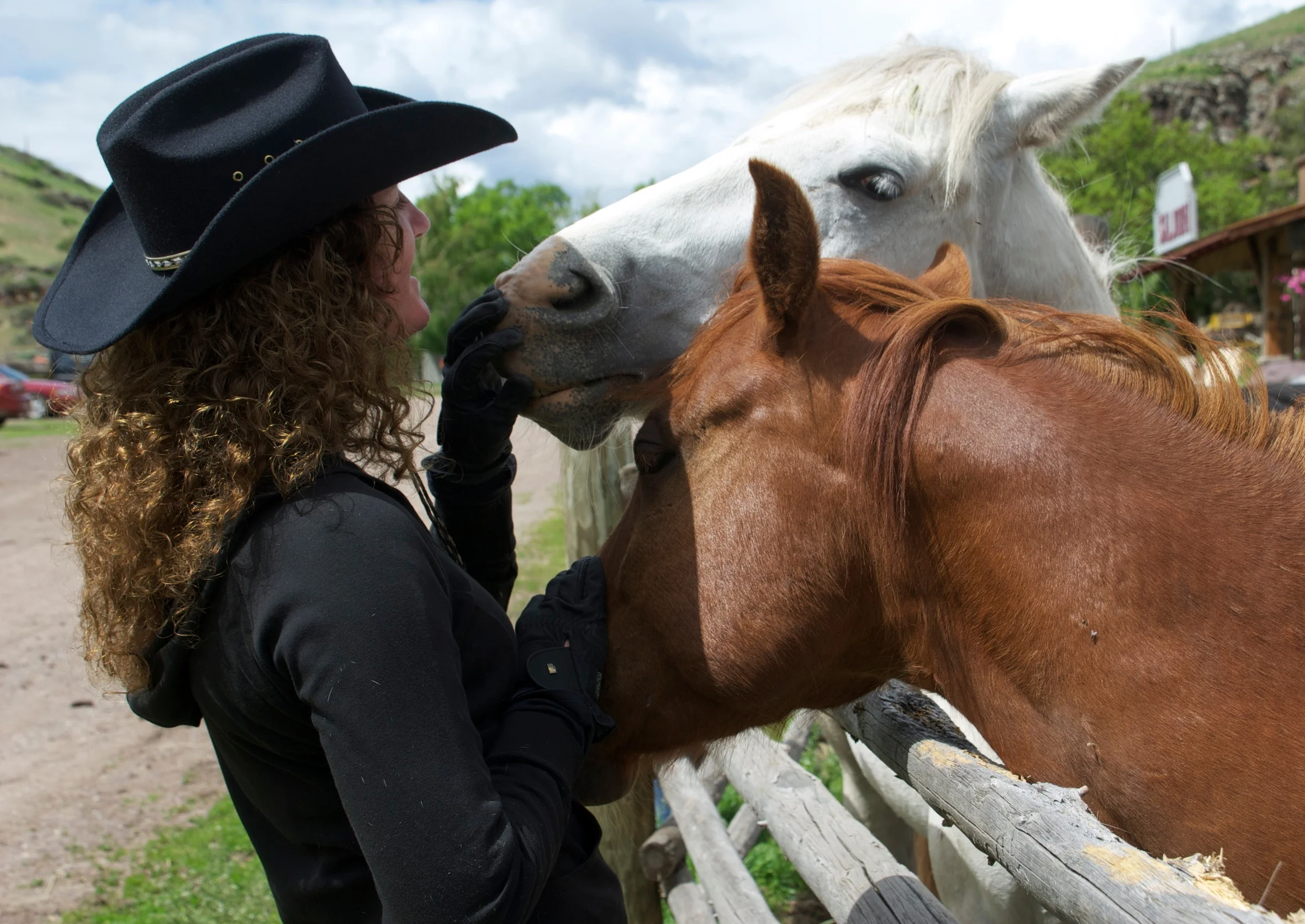 Rocking Z Guest Ranch