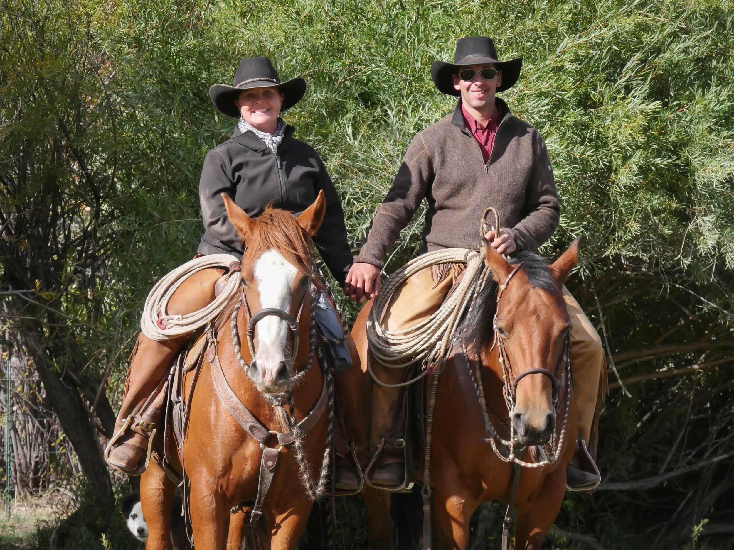 Rocking Z Guest Ranch
